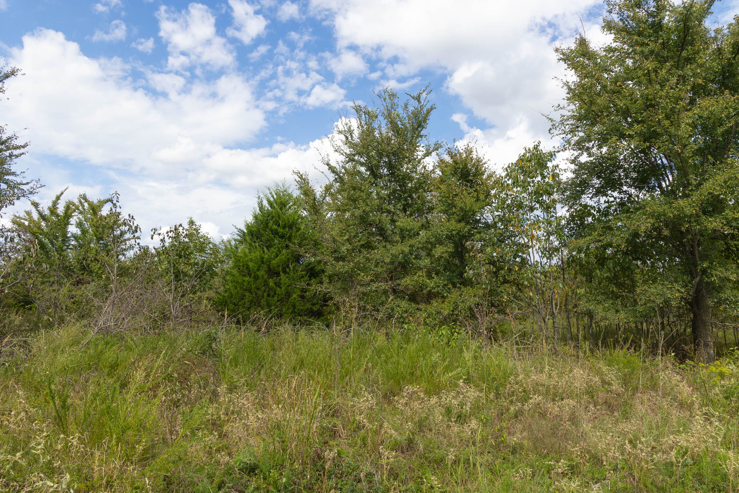 Reserves At Cattail Cove Phase II Tract 102 photo 7