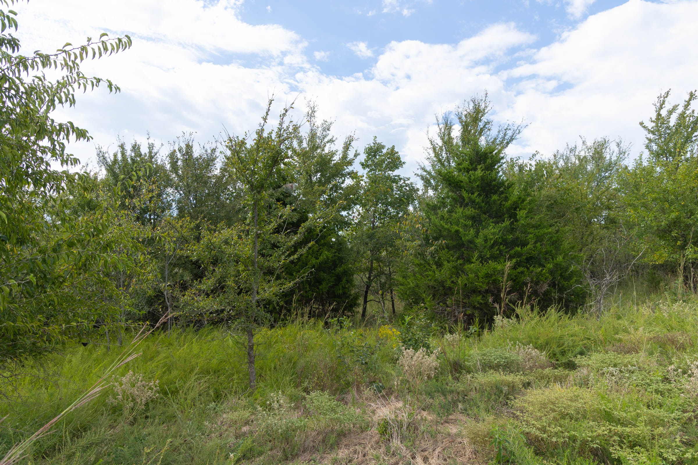 Reserves At Cattail Cove Phase II Tract 102 photo 4