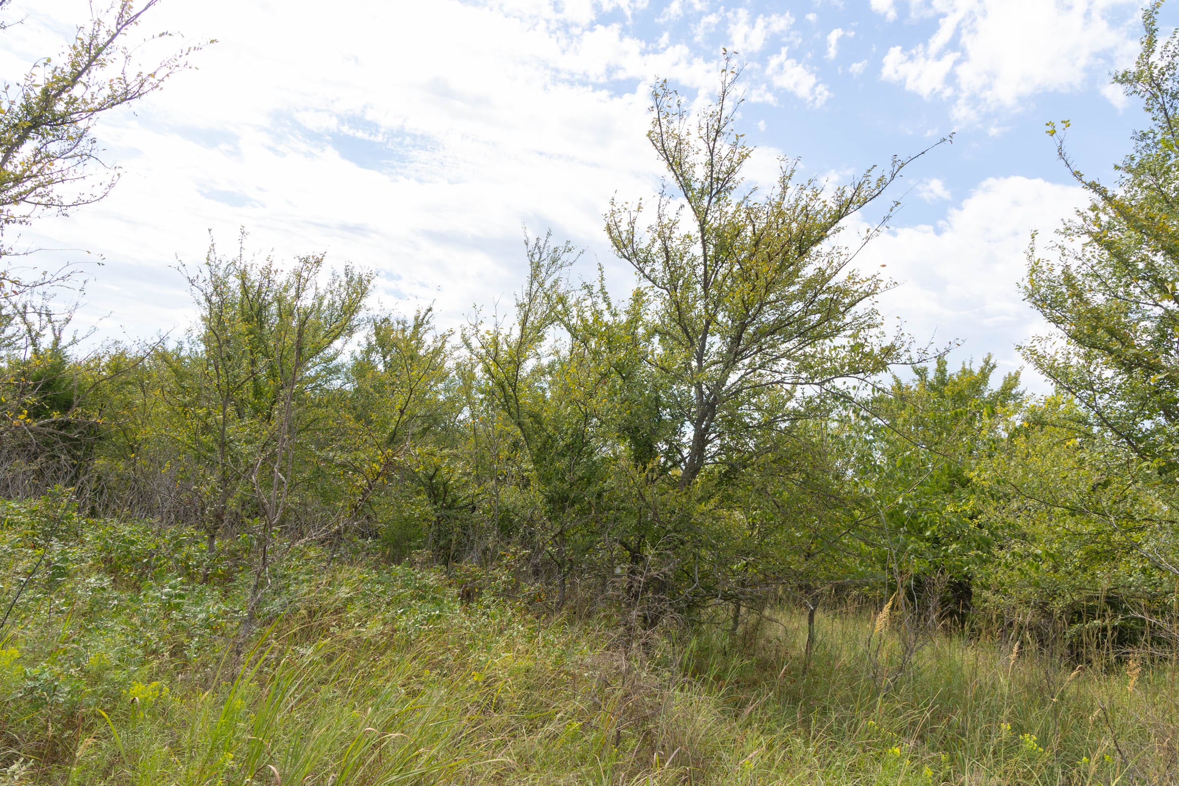 Reserves At Cattail Cove Phase II Tract 102 photo 9