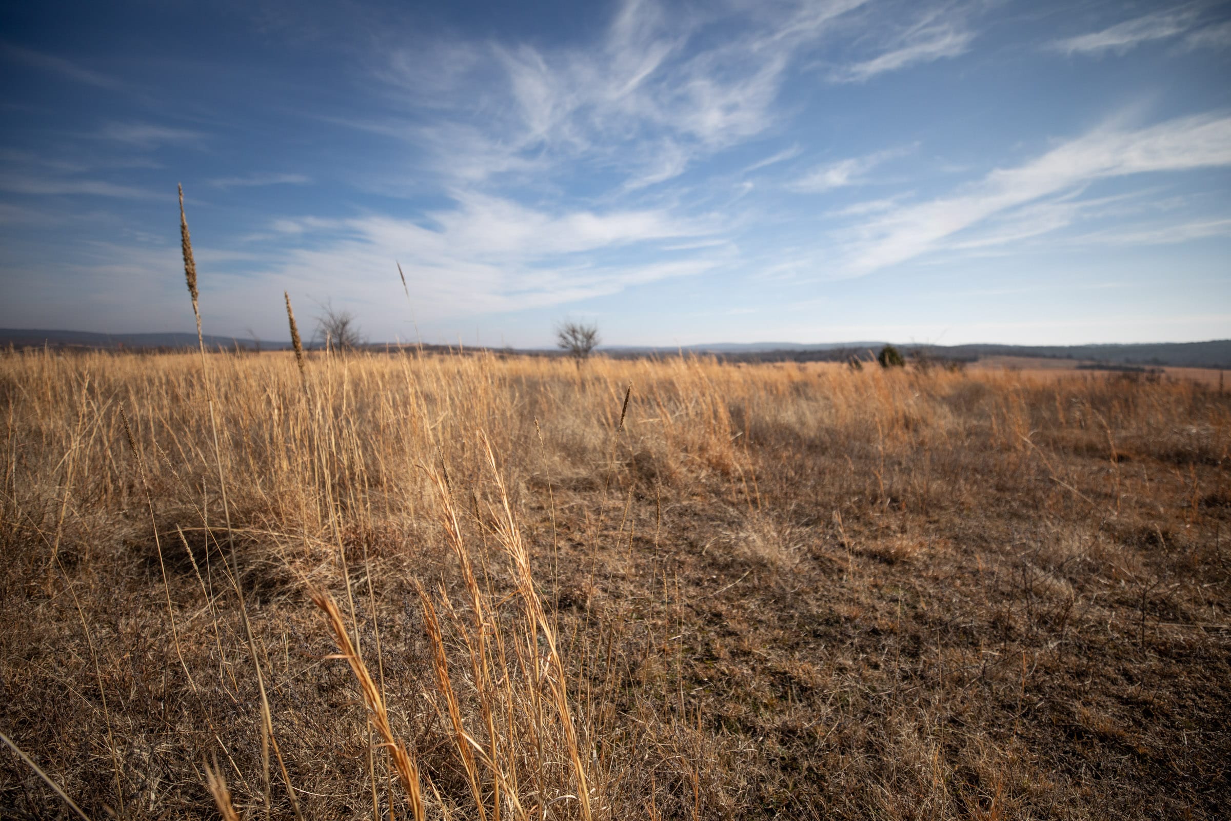 Painted Horse Tract 16 photo 3