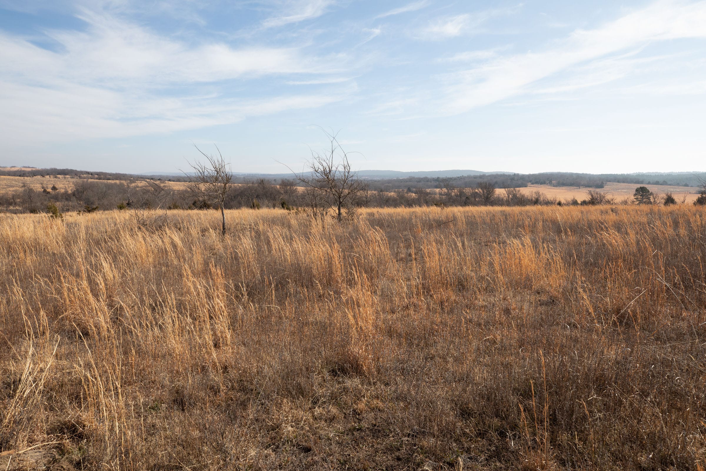 Painted Horse Tract 16 photo 4