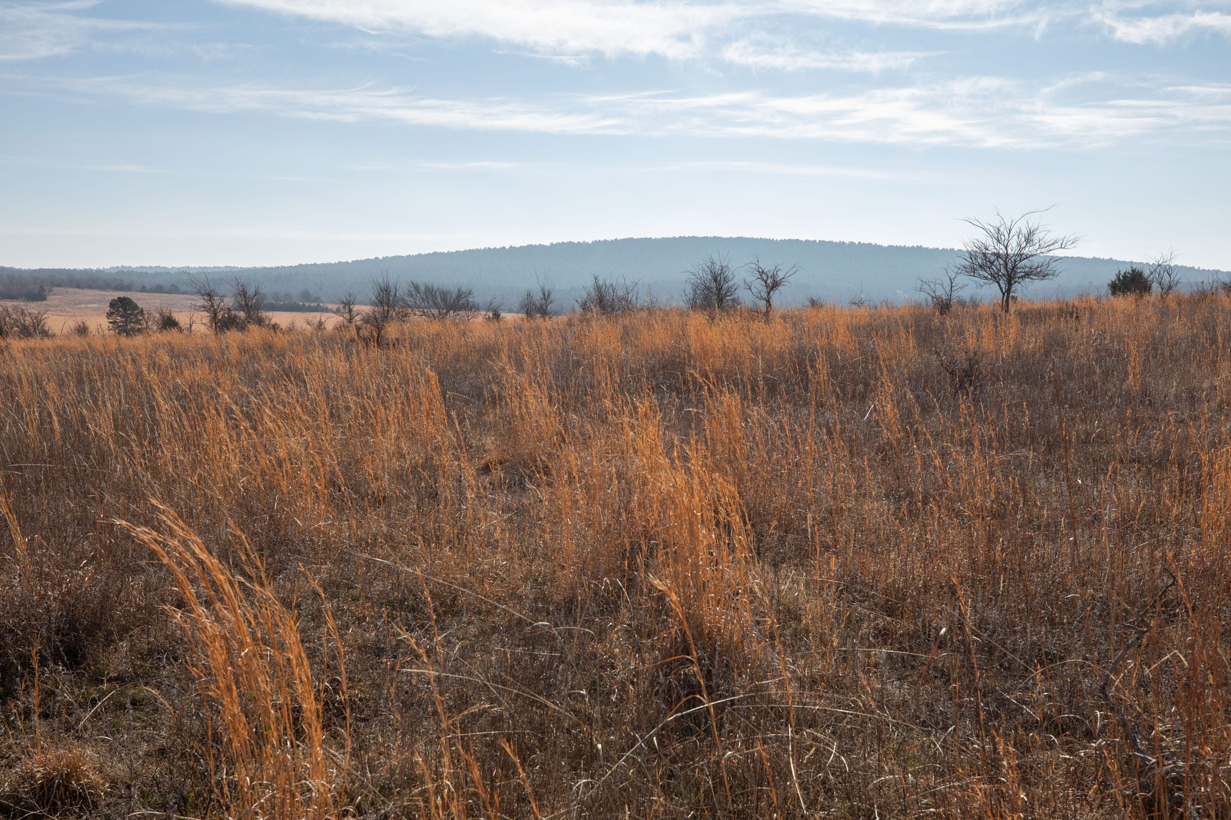 Painted Horse Tract 16 photo 7