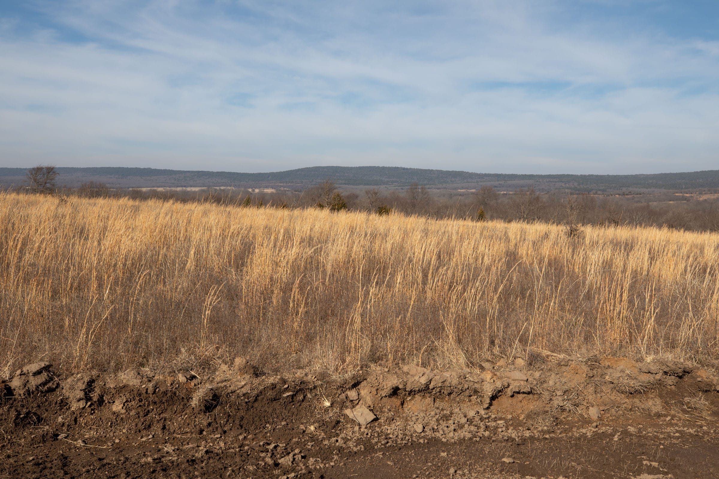 Painted Horse Tract 16 photo 6