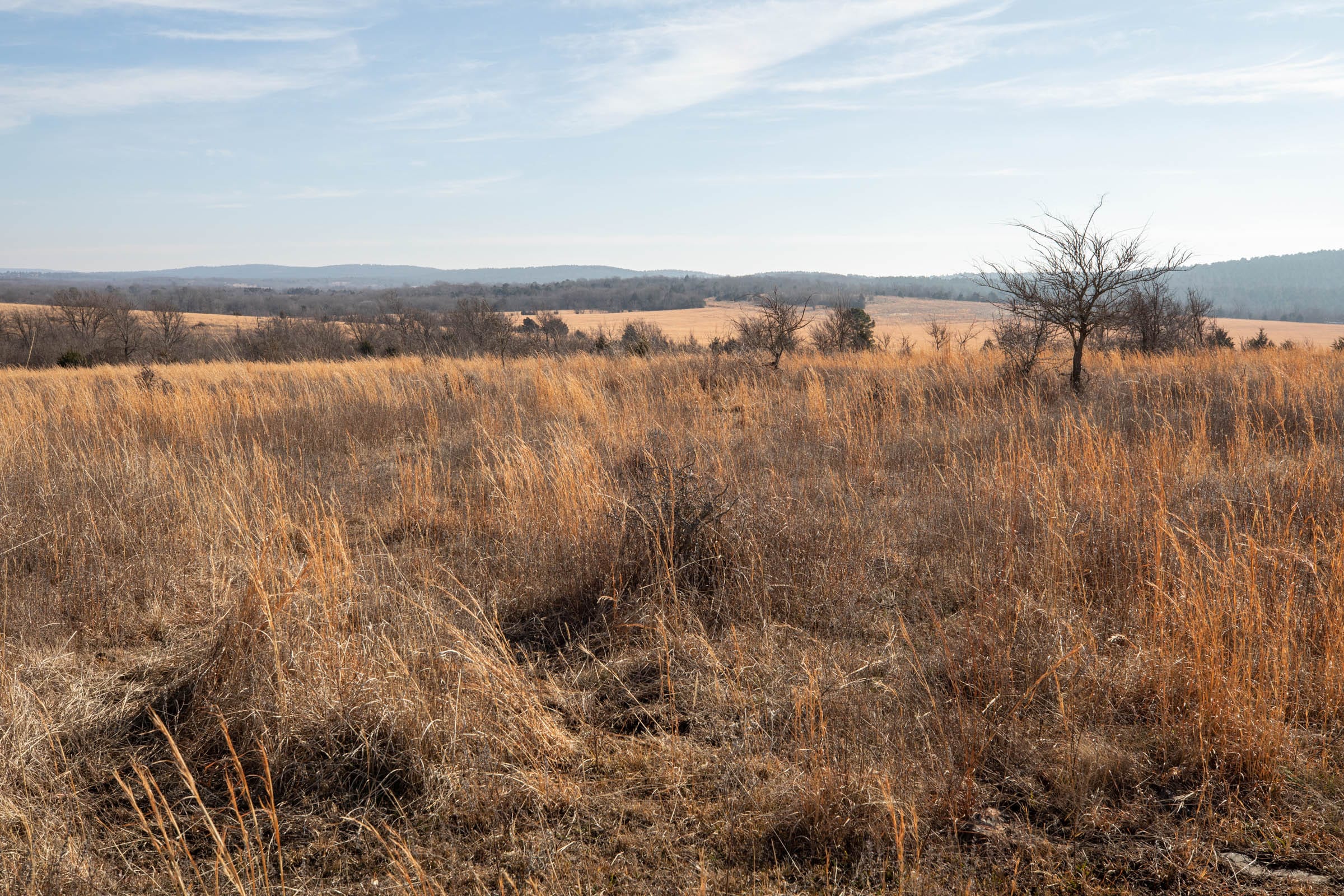 Painted Horse Tract 16 photo 10