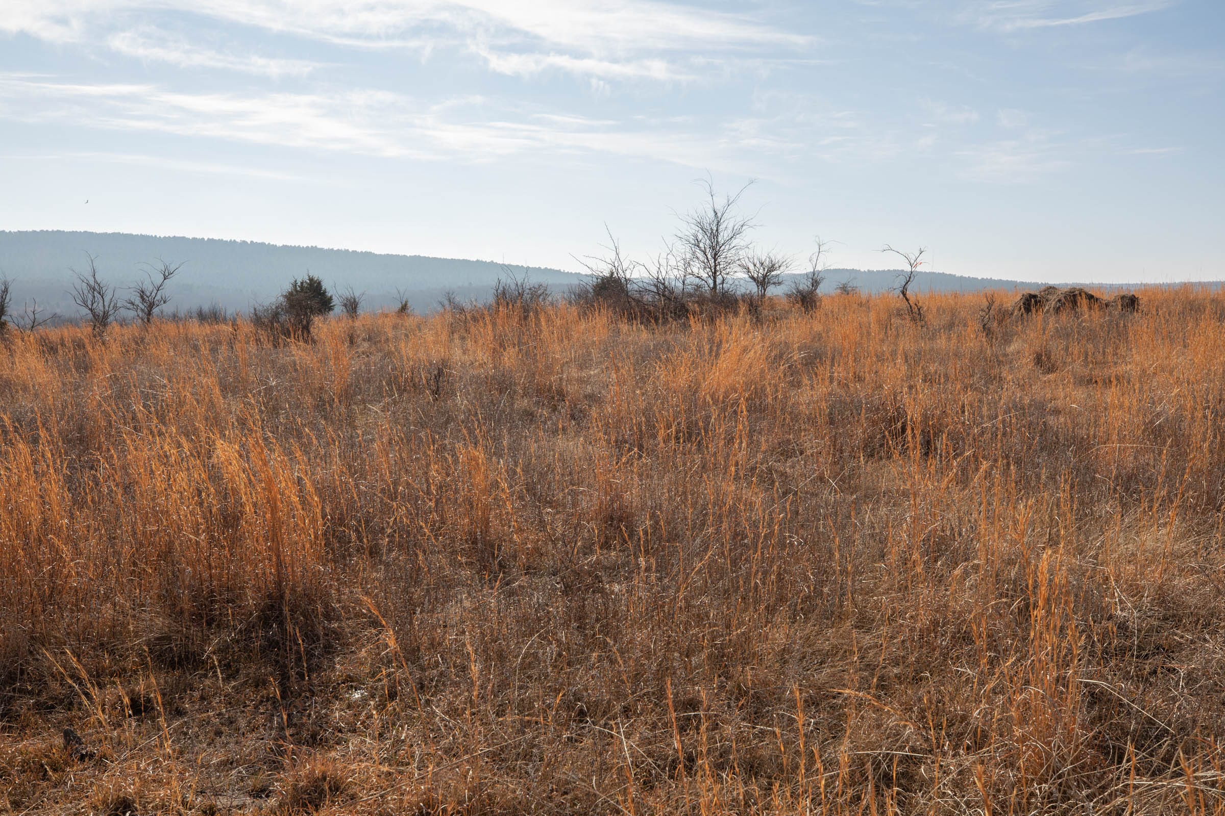Painted Horse Tract 16 photo 11