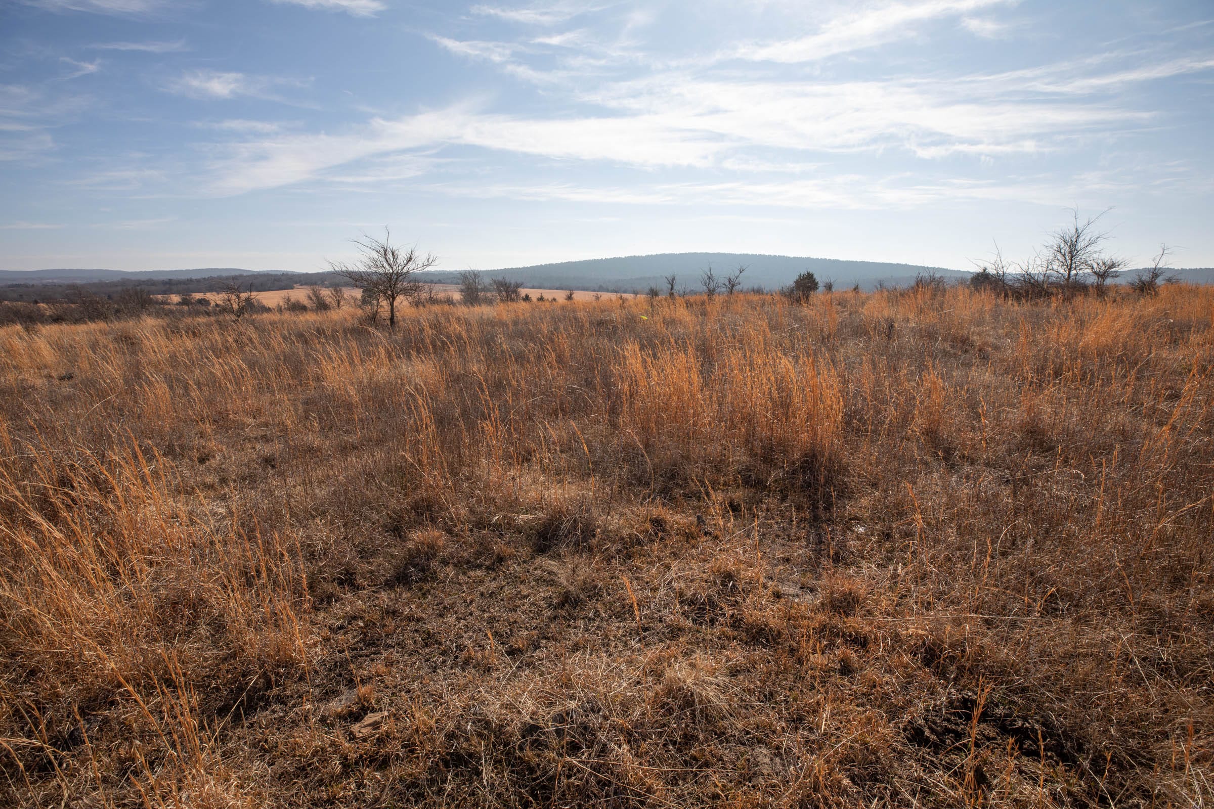 Painted Horse Tract 16 photo 9