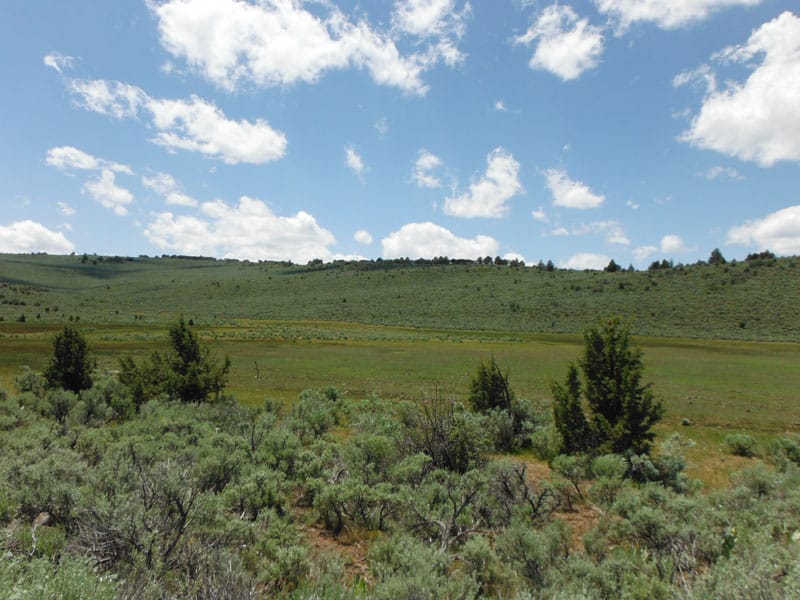 Moon Valley Ranch Tract 18 photo 2