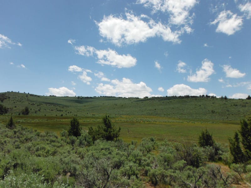 Moon Valley Ranch Tract 18 photo 3