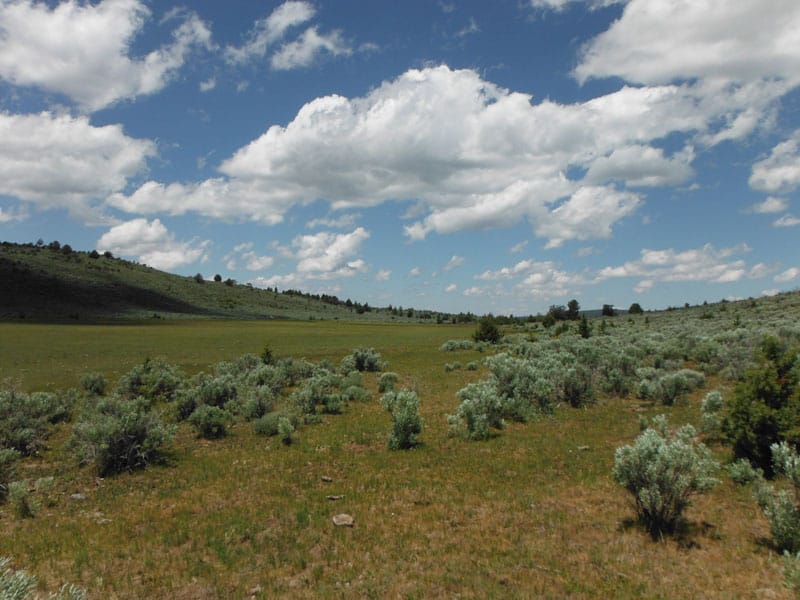 Moon Valley Ranch Tract 18 photo 6