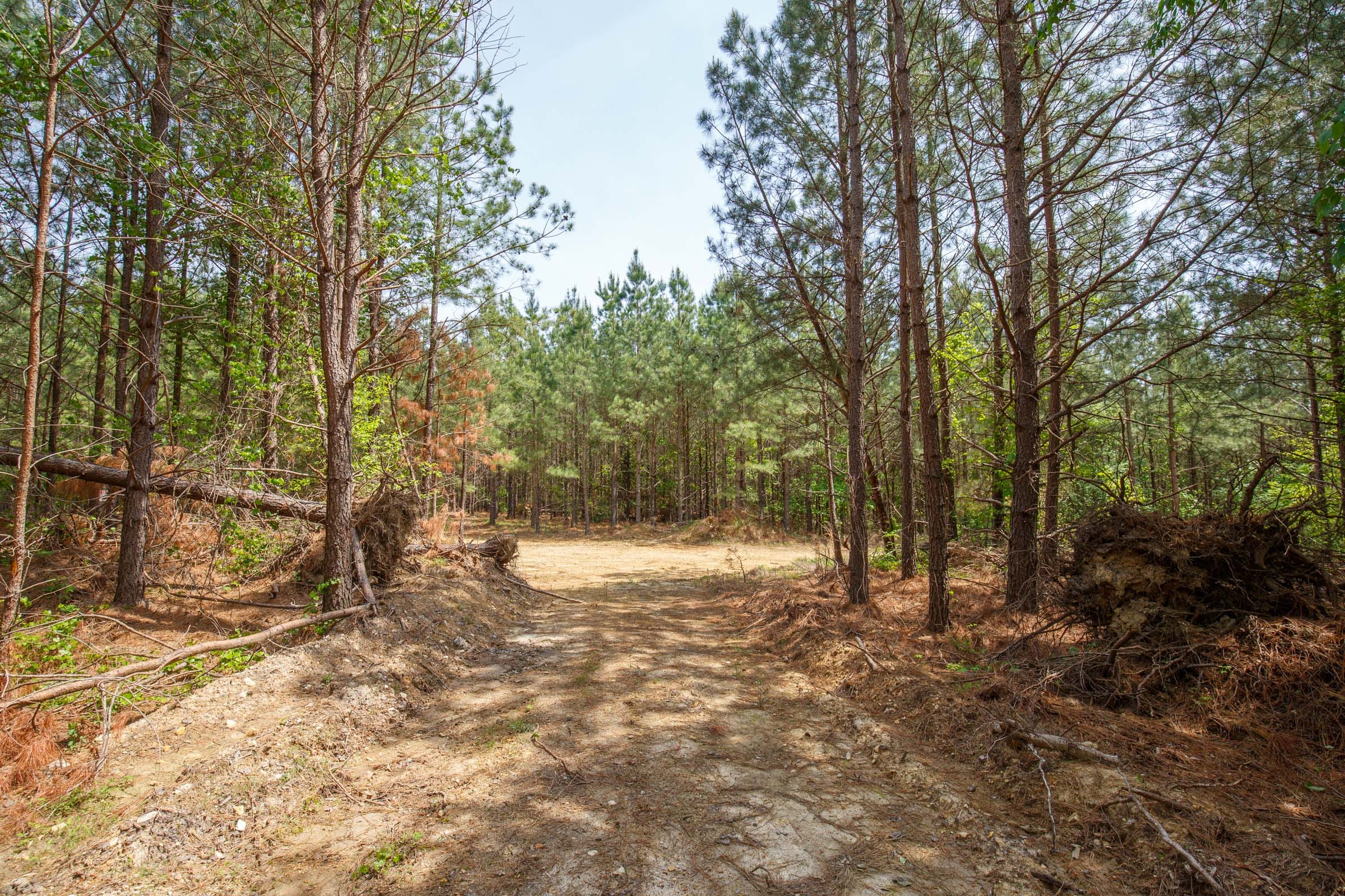 Red Barn Ranch Tract 6 photo 1