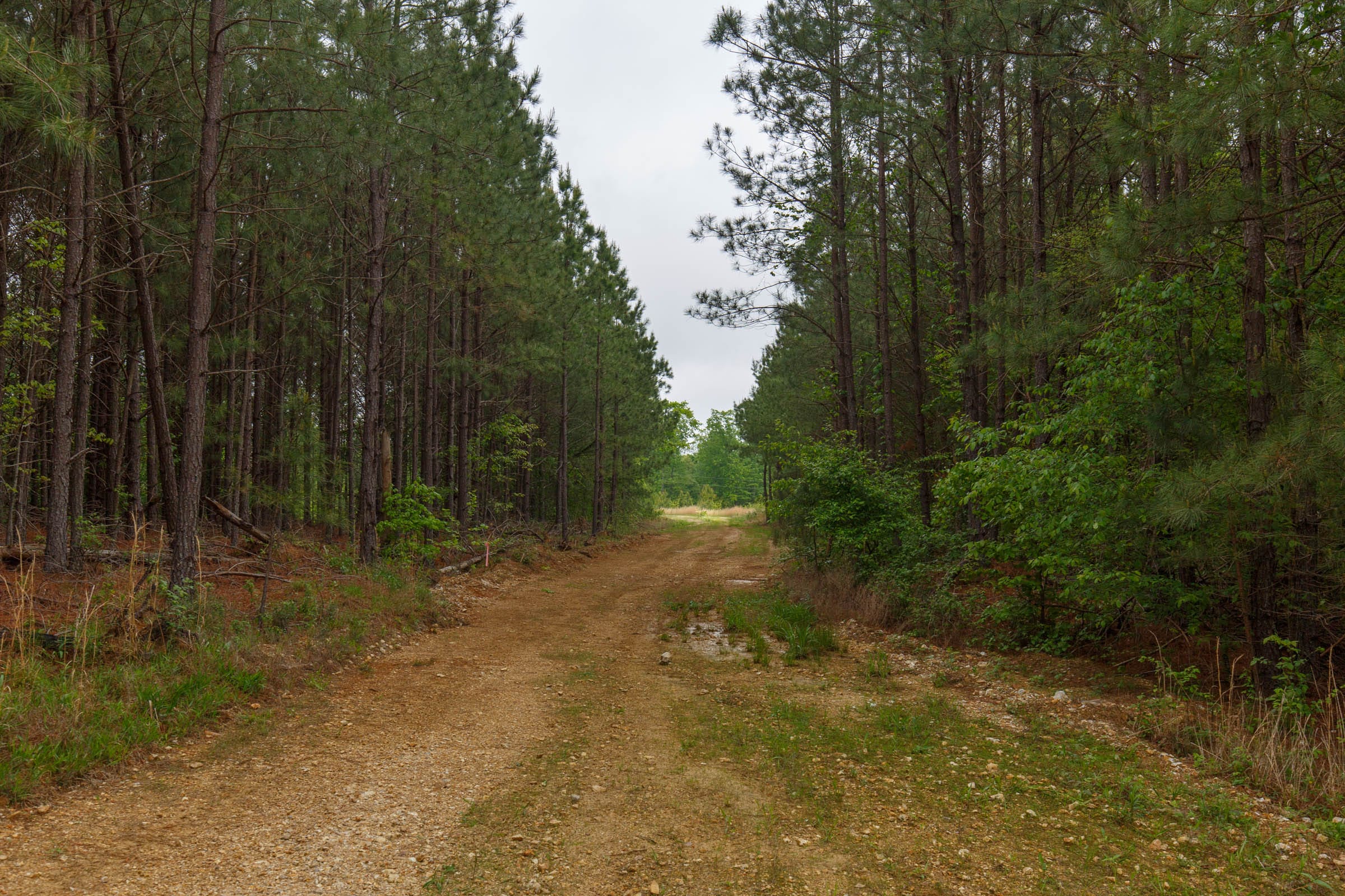 Red Barn Ranch Tract 6 photo 4