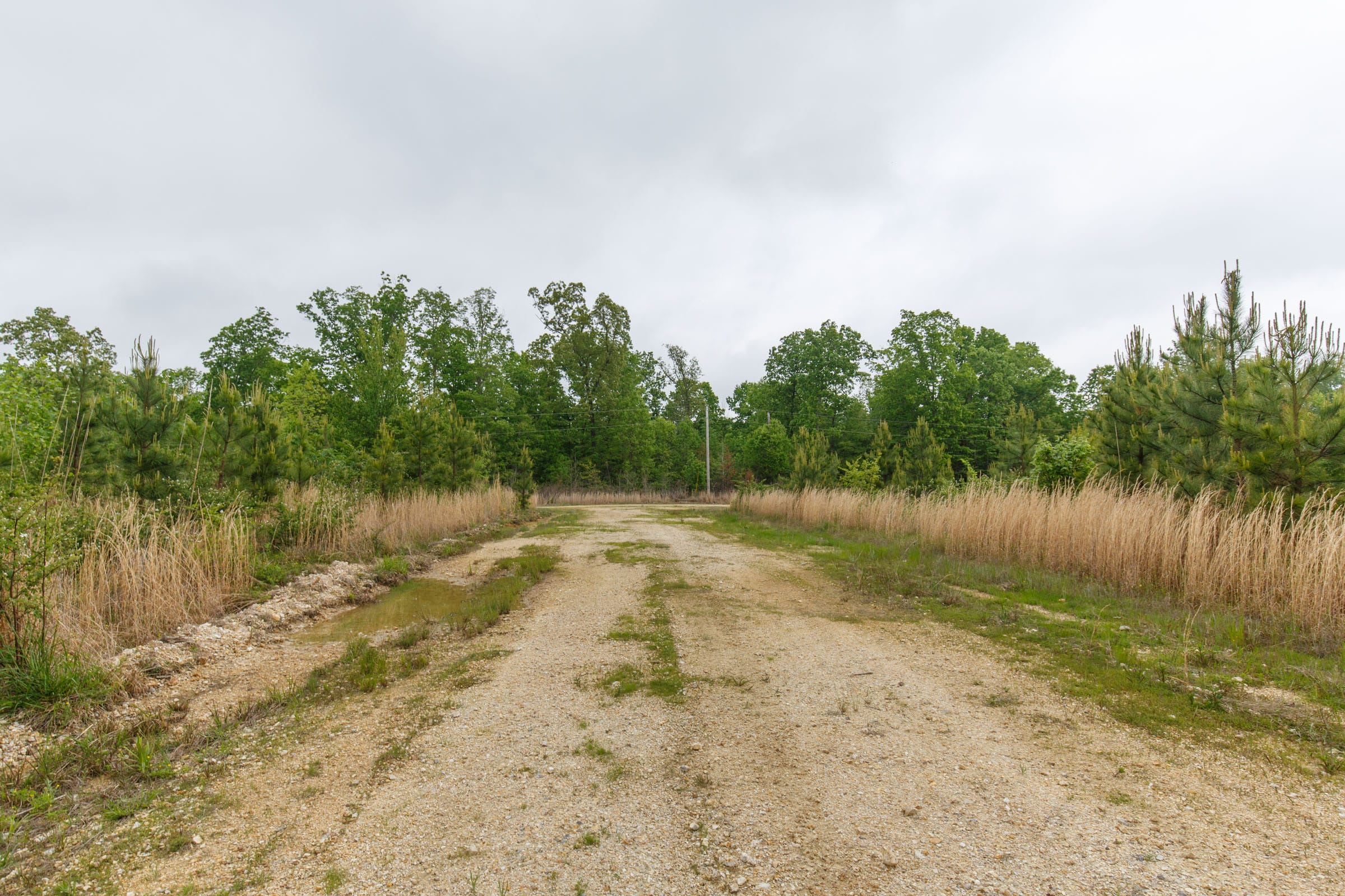 Red Barn Ranch Tract 6 photo 7