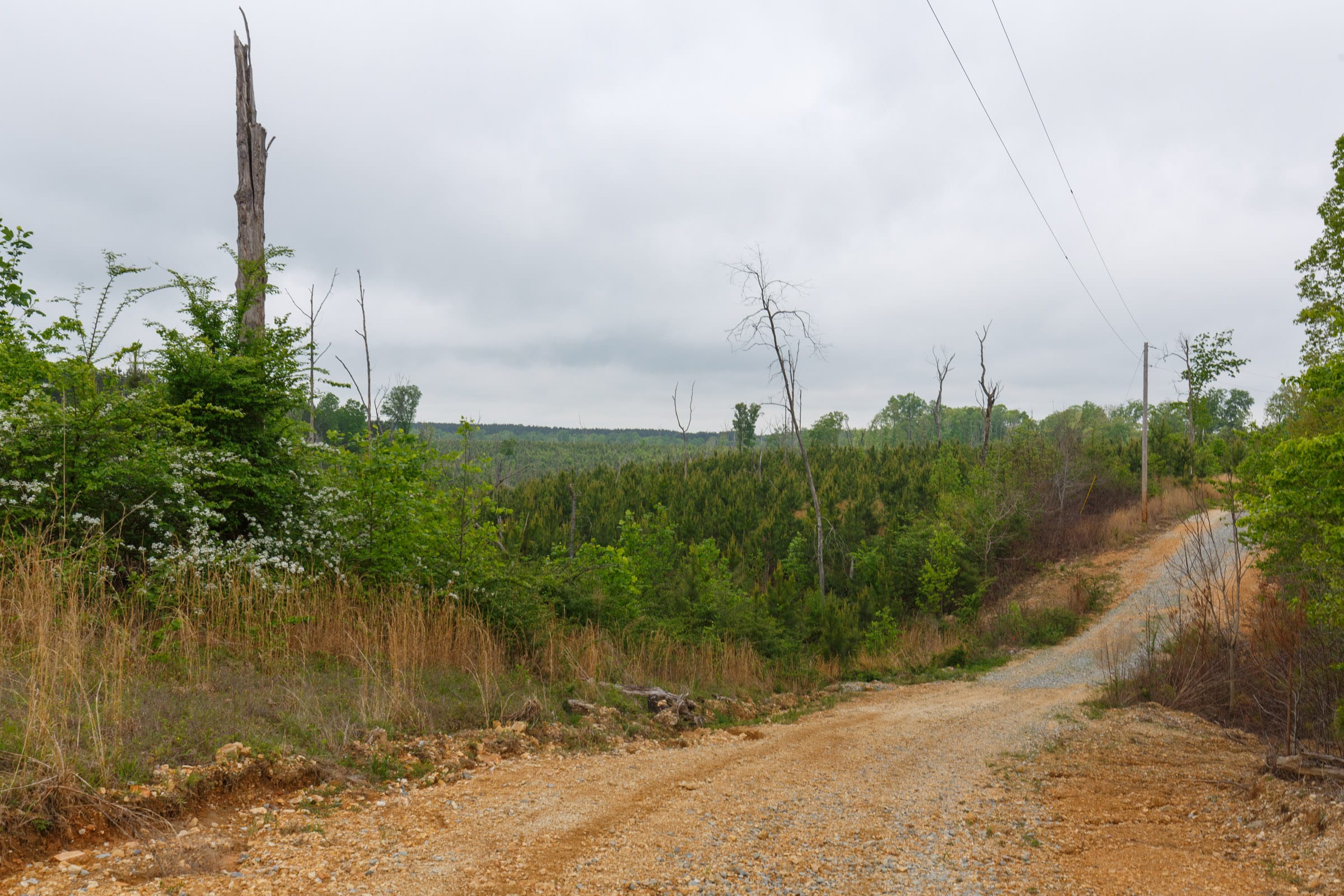 Red Barn Ranch Tract 6 photo 10