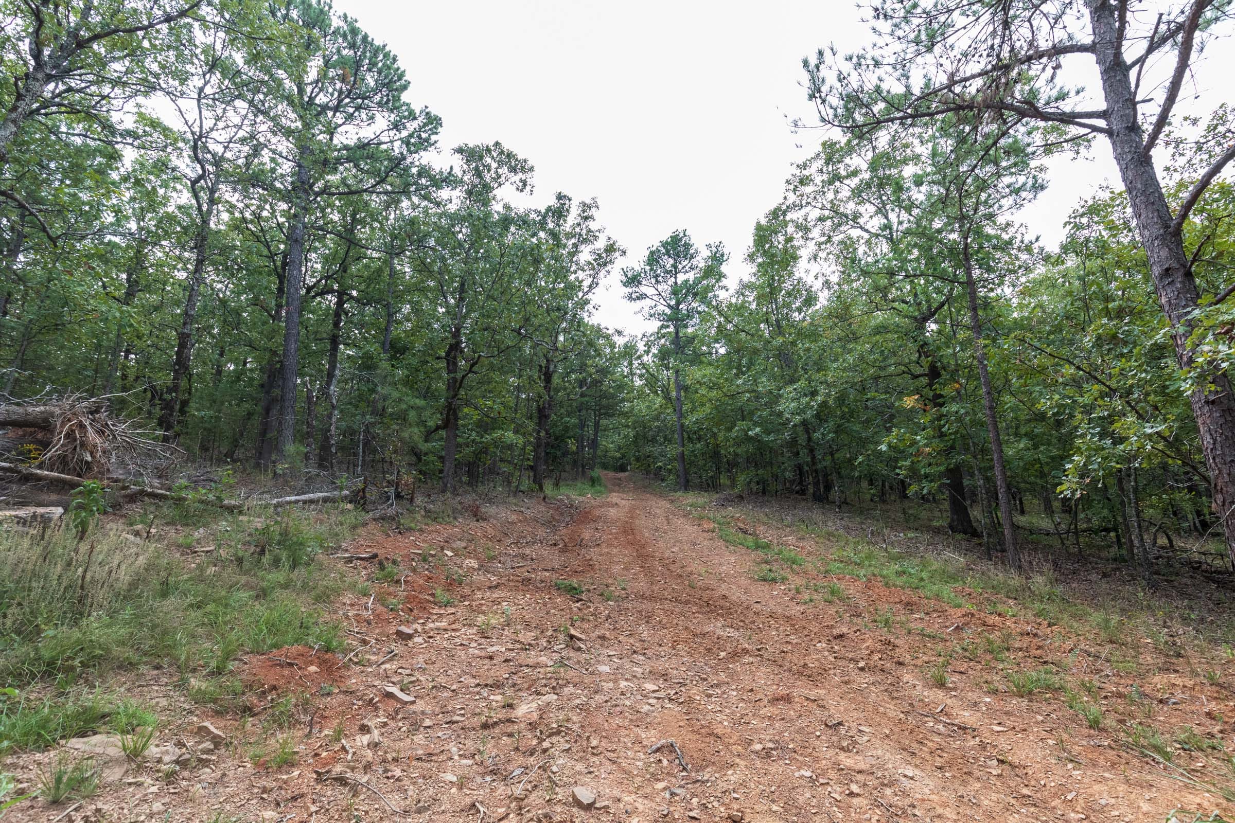 Stone Bridge Phase V Tract 386 photo 1