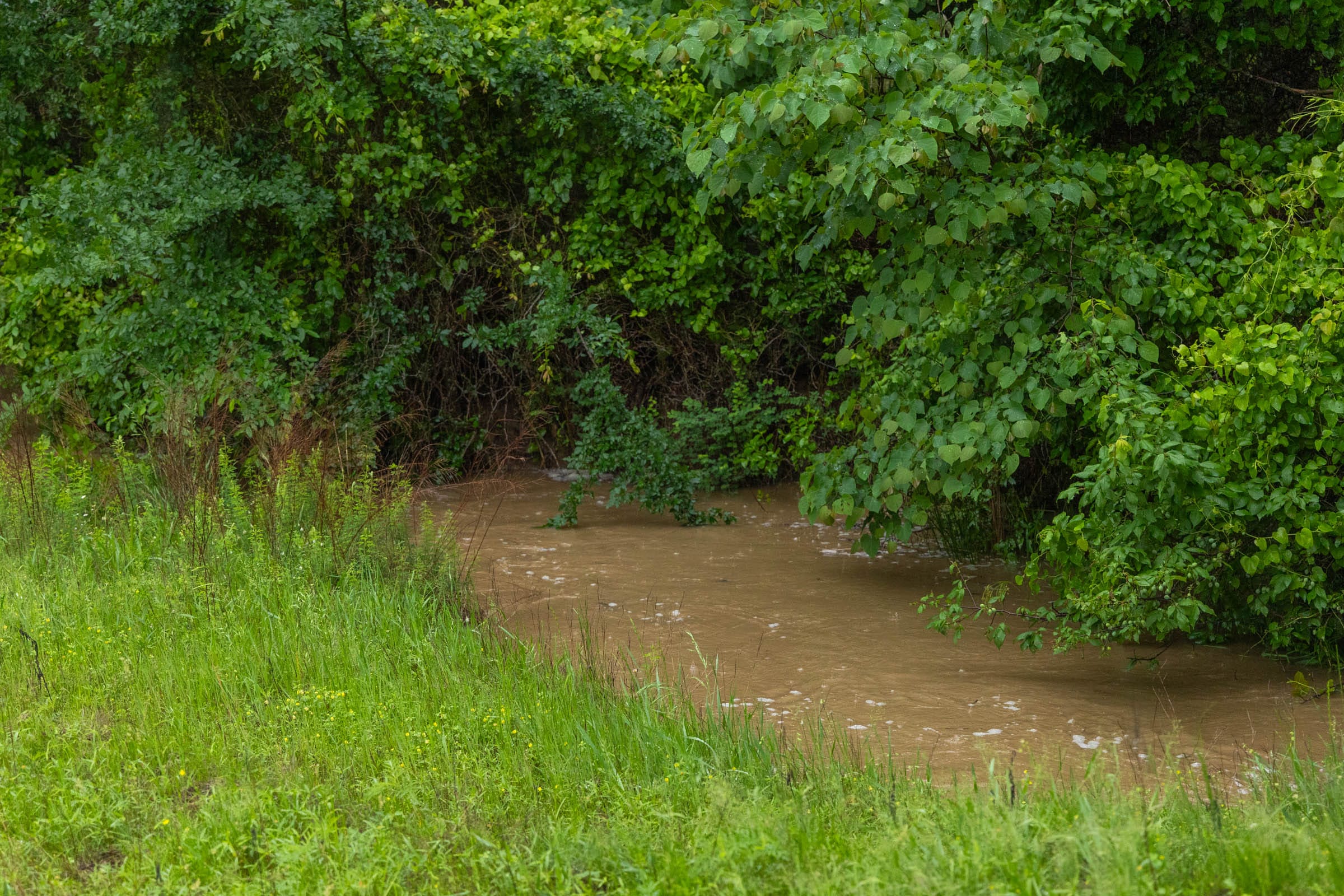 Harmony Hills Tract 18 photo 7