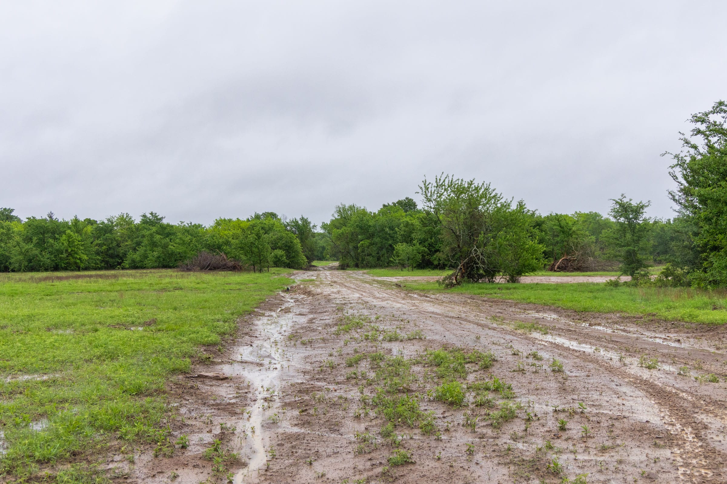 Harmony Hills Tract 18 photo 3
