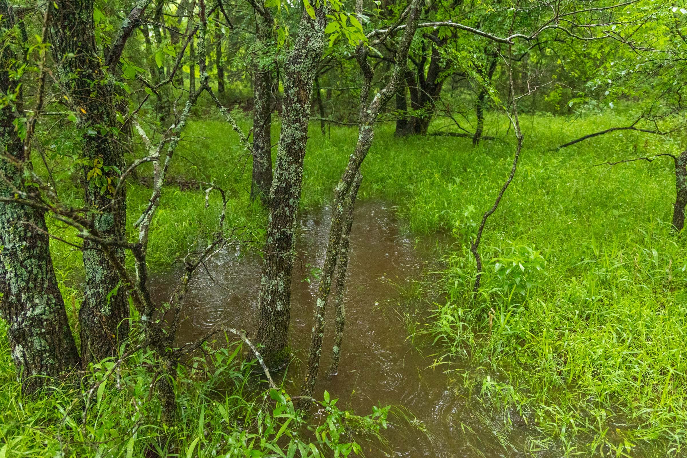 Harmony Hills Tract 18 photo 10