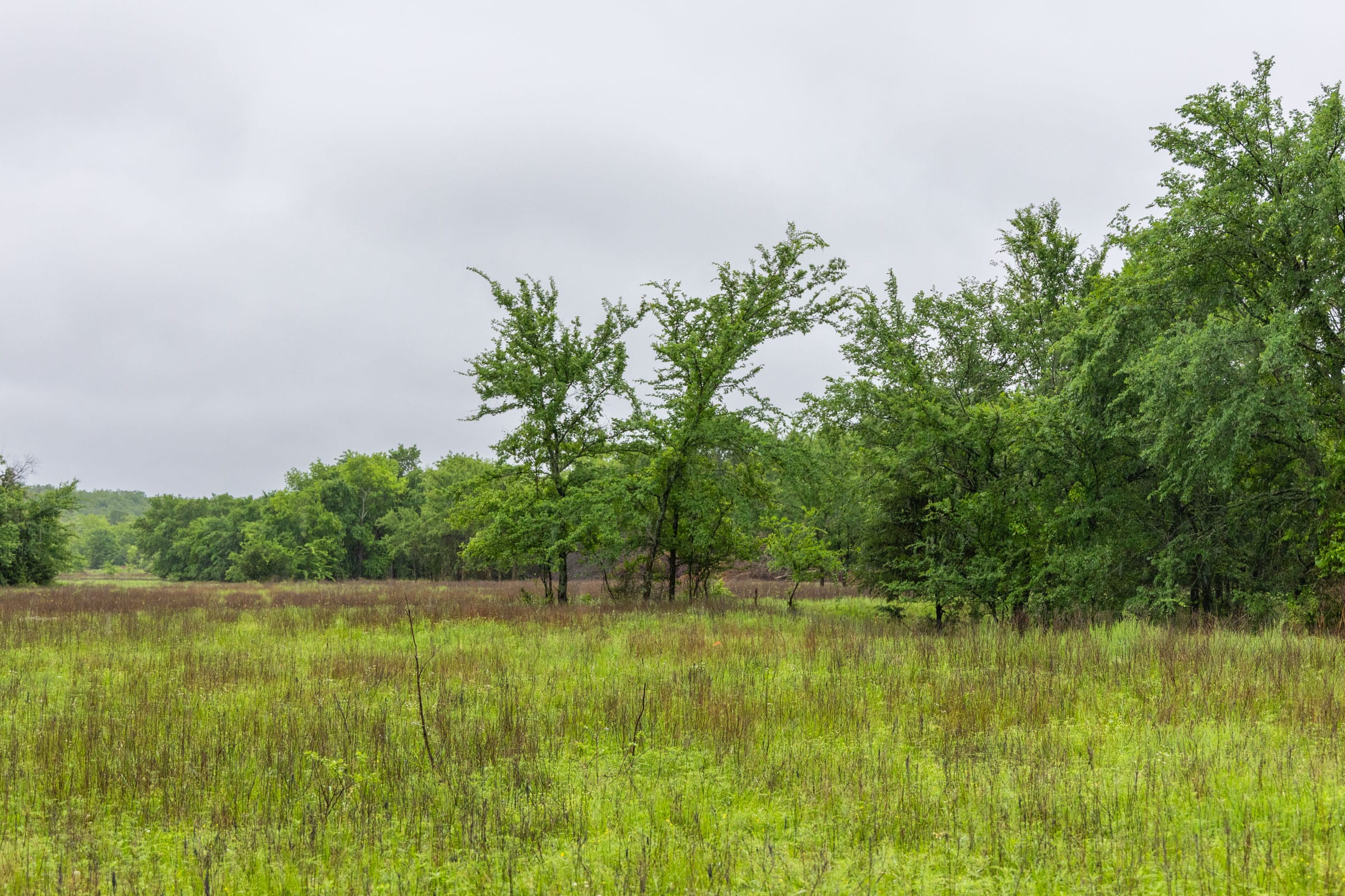 Harmony Hills Tract 18 photo 5
