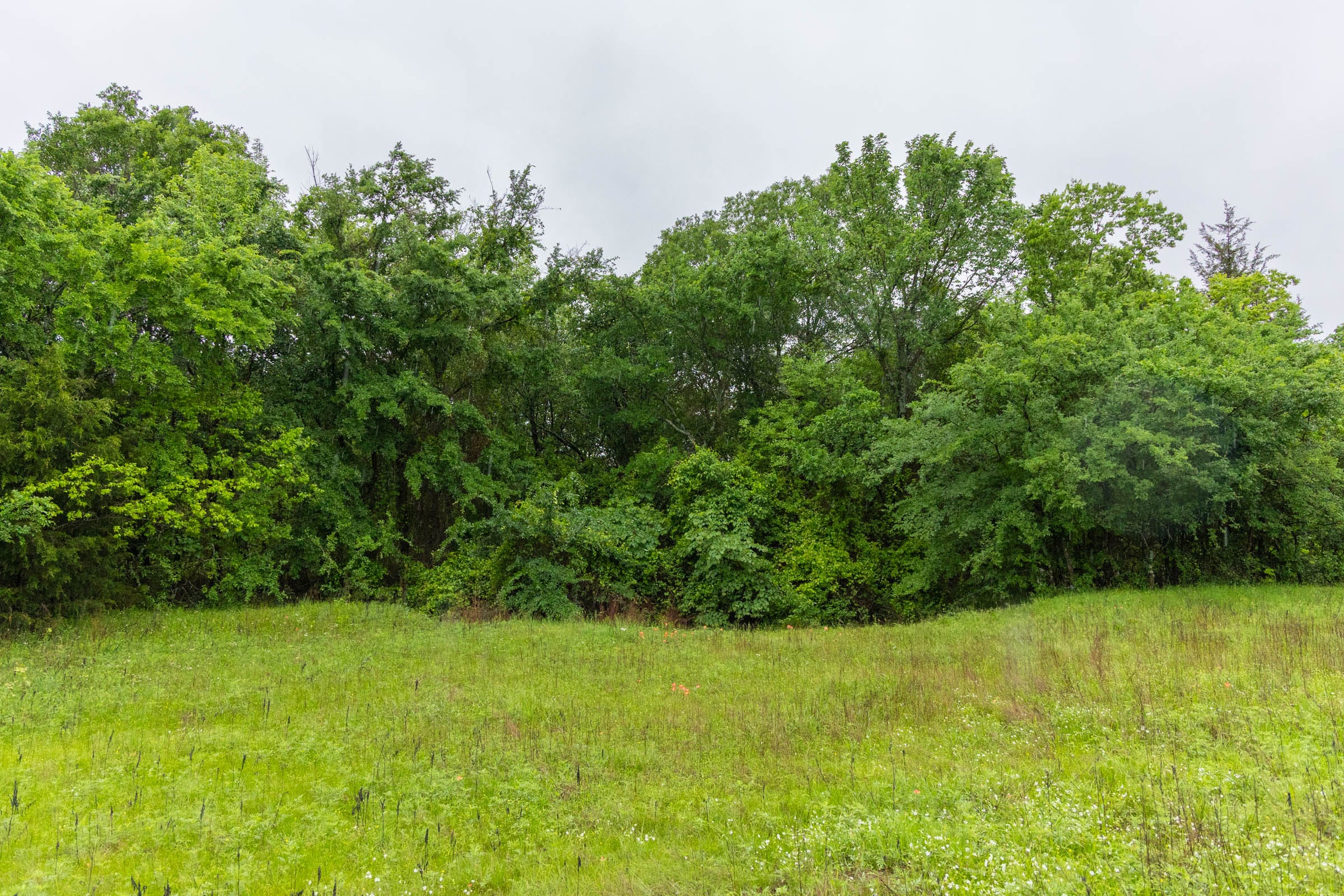 Harmony Hills Tract 18 photo 9