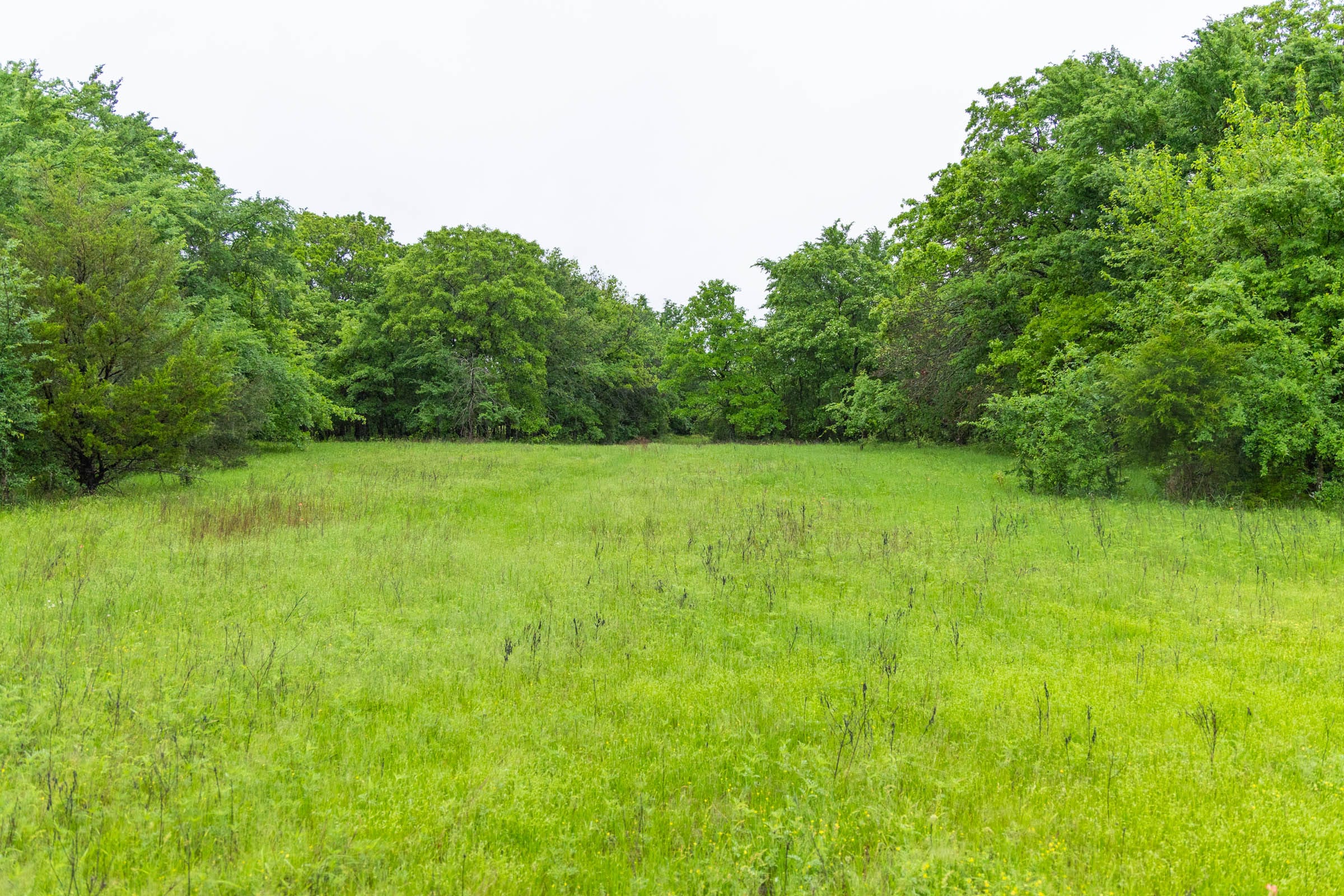 Harmony Hills Tract 18 photo 4