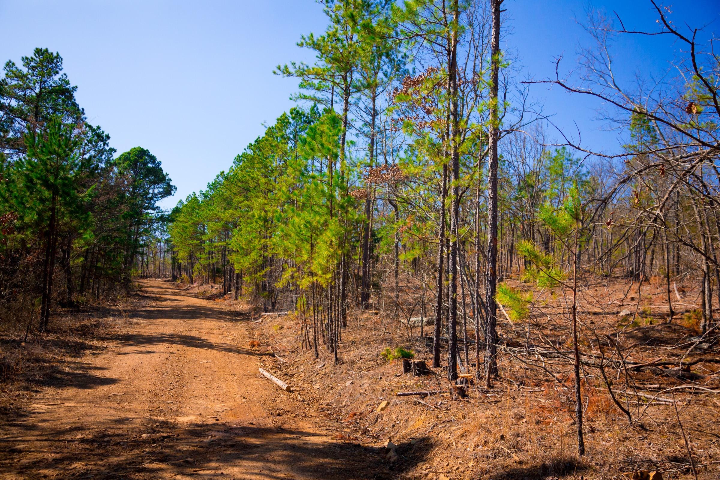 Stone Creek Phase II Tract 118 photo 2