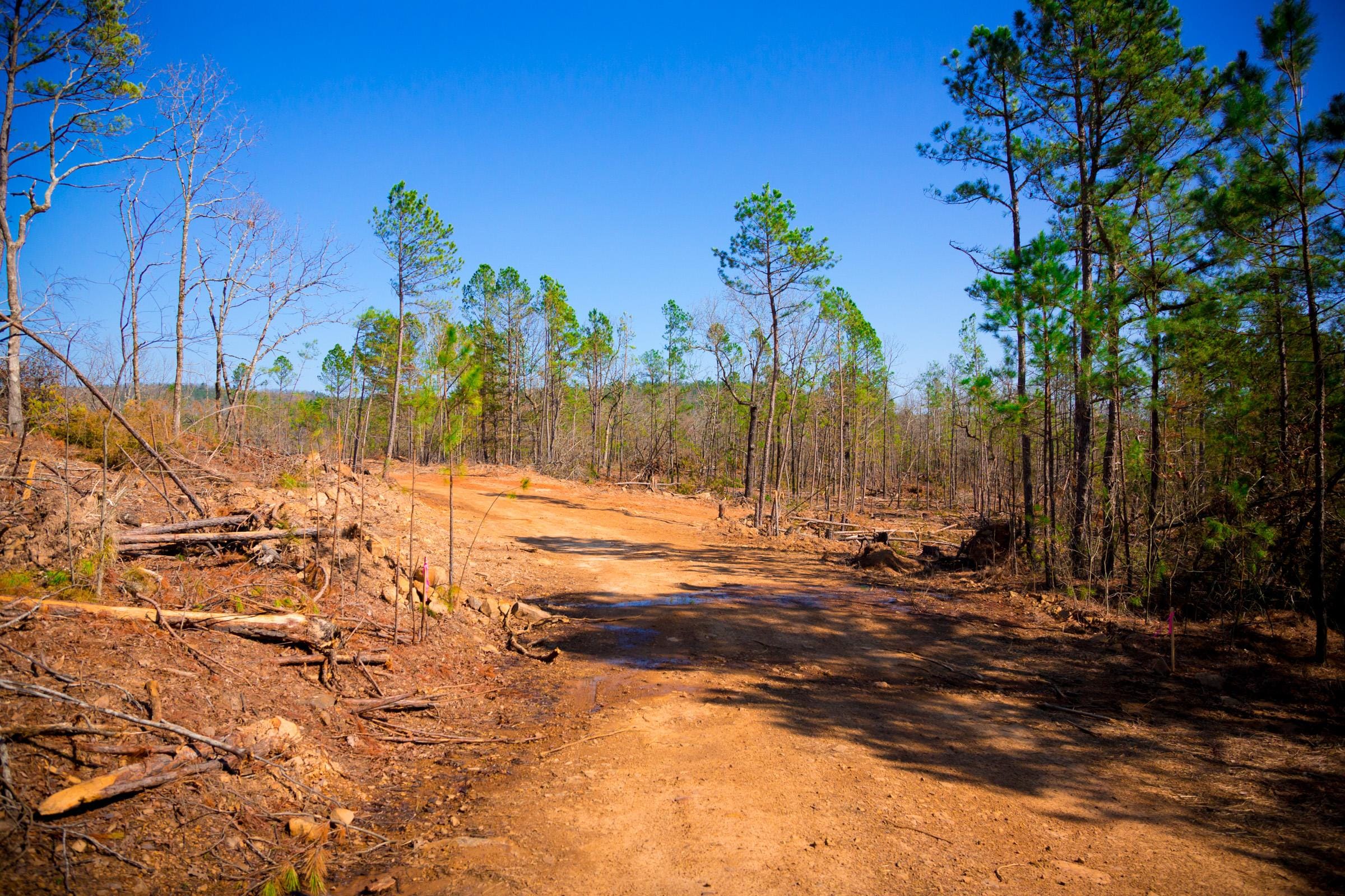 Stone Creek Phase II Tract 118 photo 3