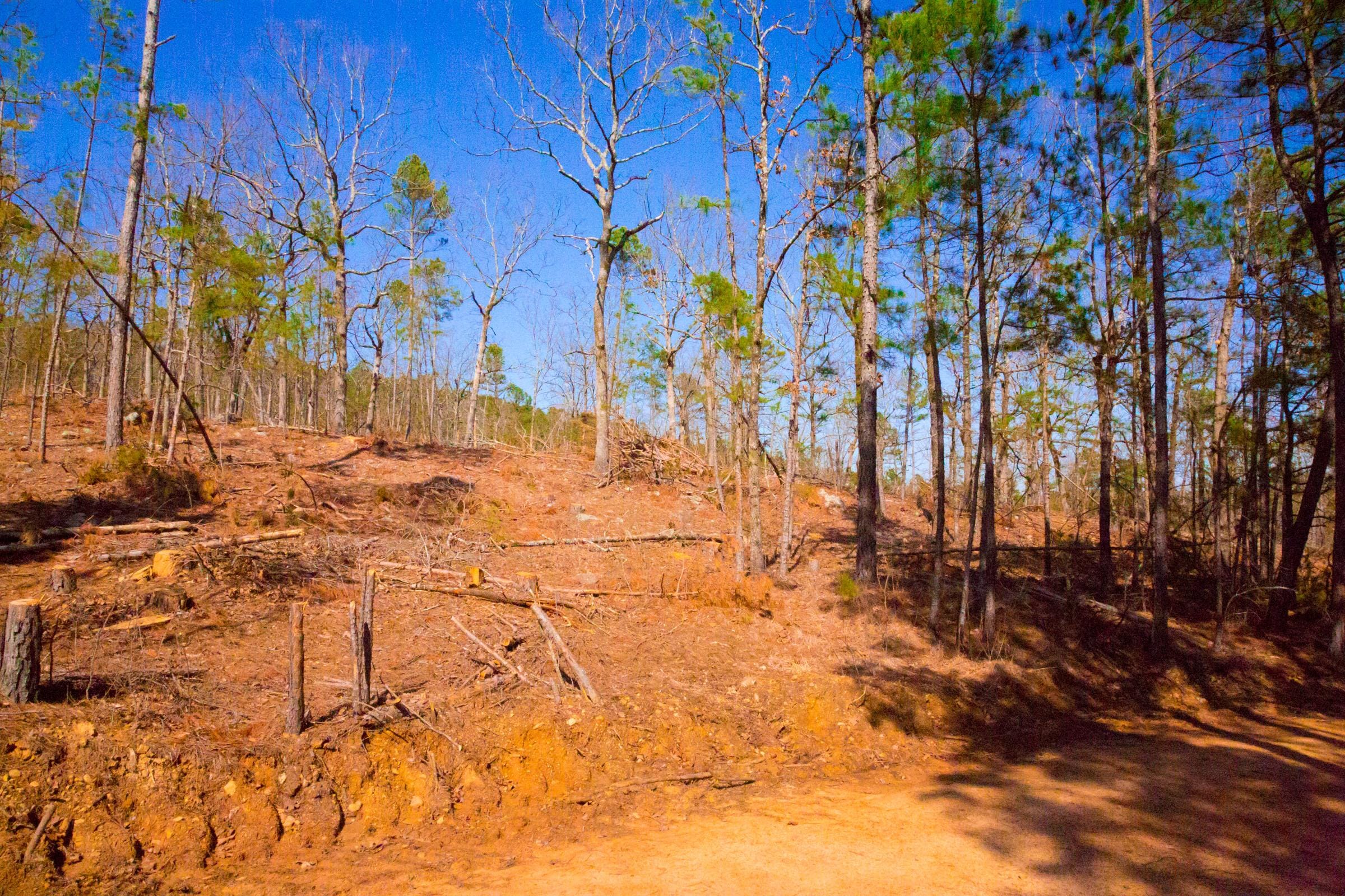 Stone Creek Phase II Tract 118 photo 5