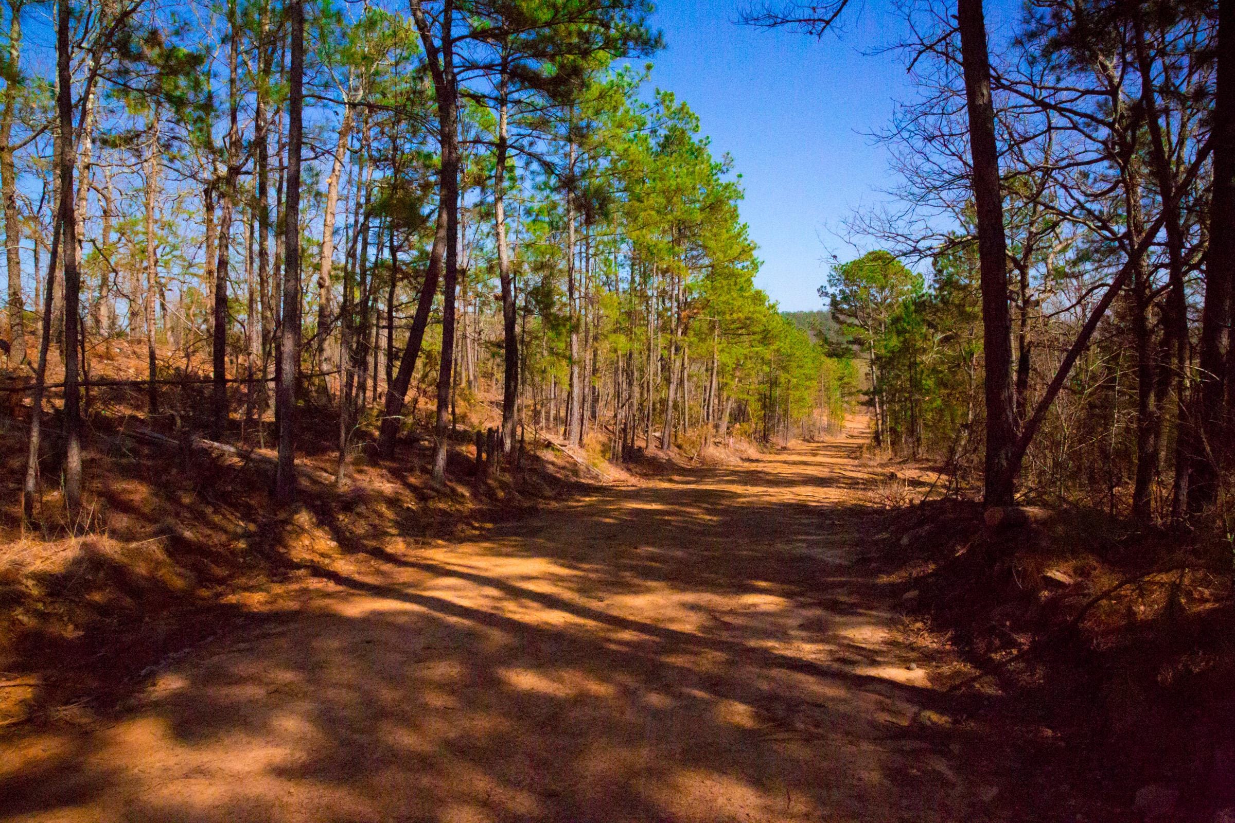 Stone Creek Phase II Tract 118 photo 6