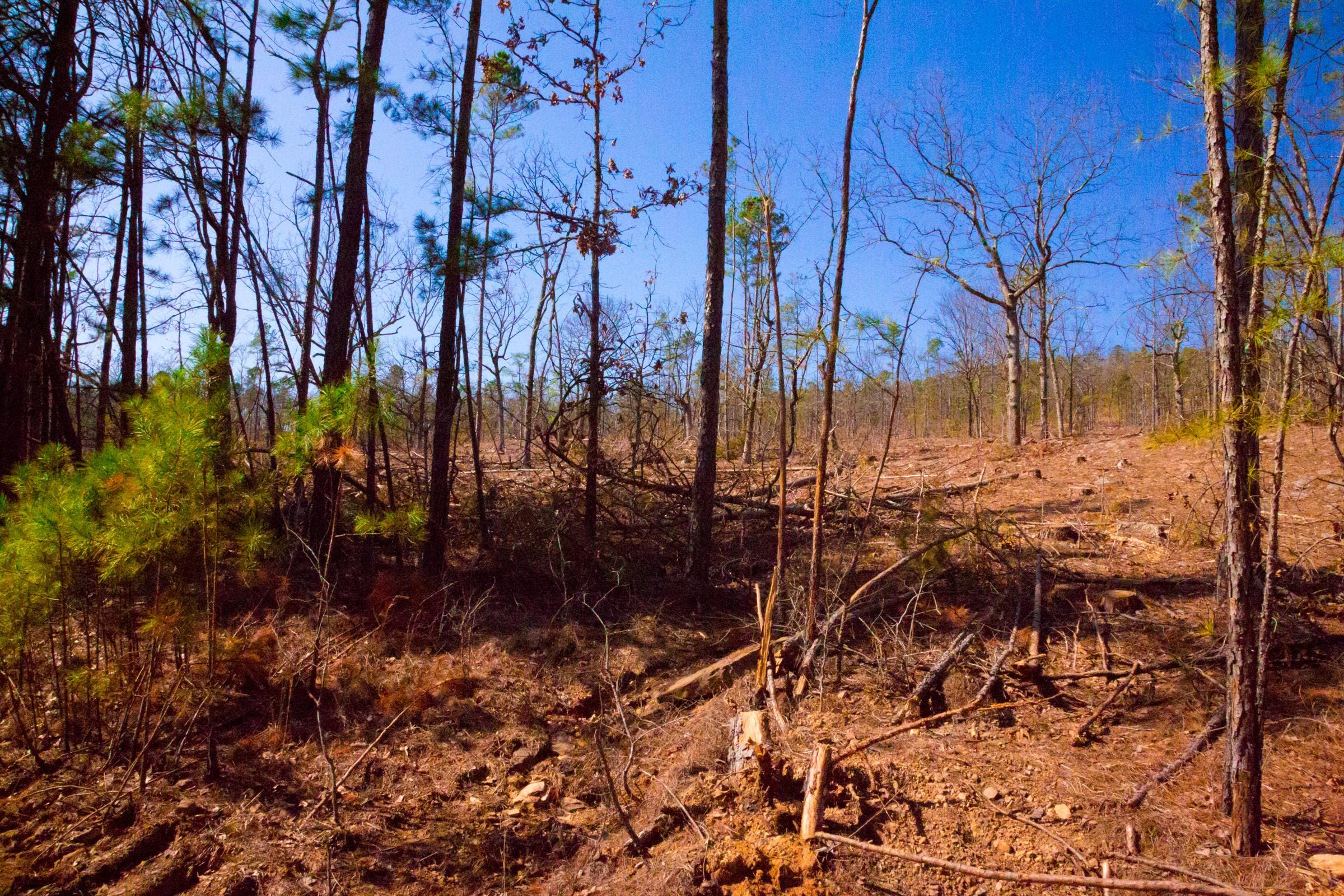 Stone Creek Phase II Tract 118 photo 7