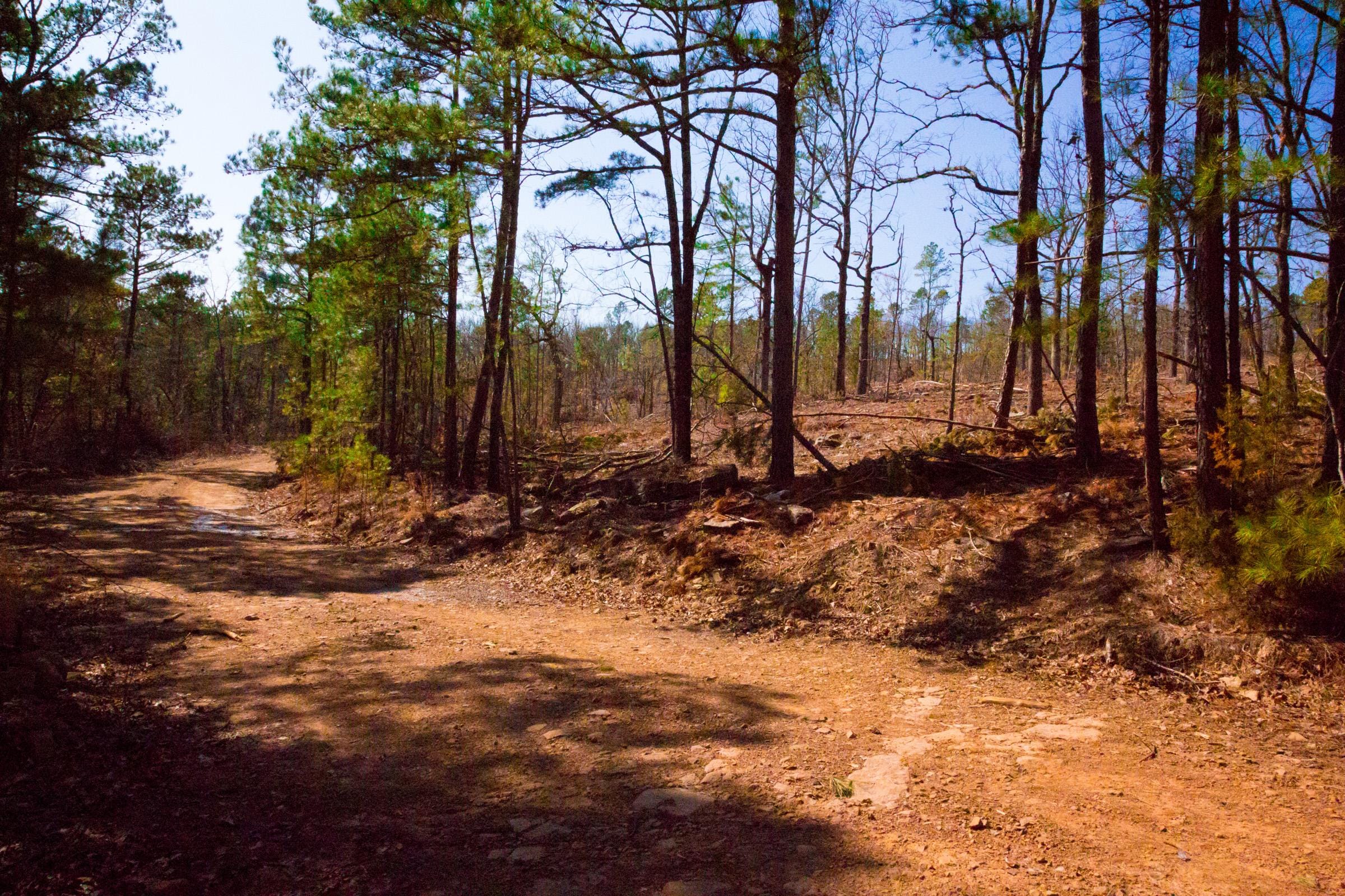 Stone Creek Phase II Tract 118 photo 9