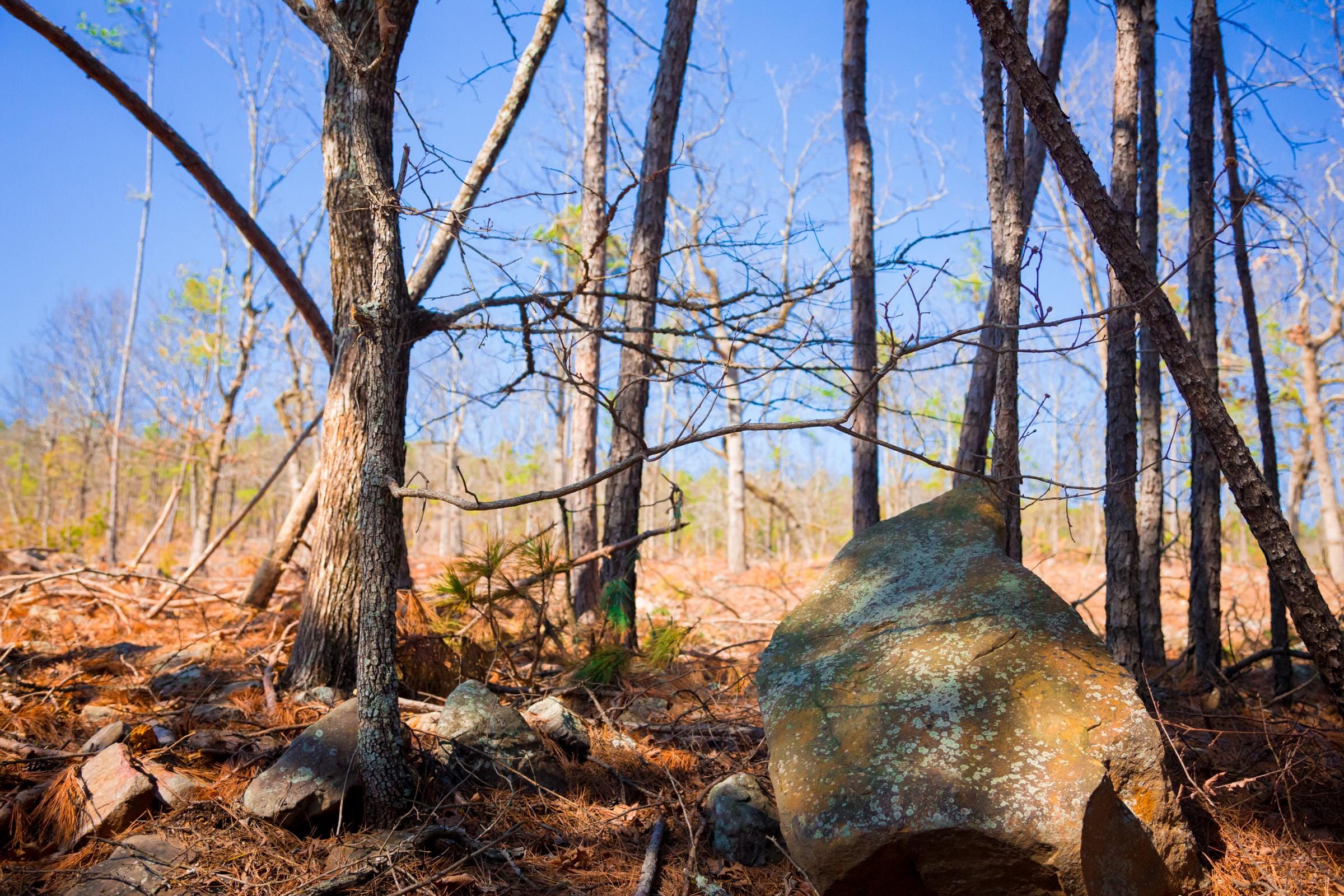 Stone Creek Phase II Tract 118 photo 10