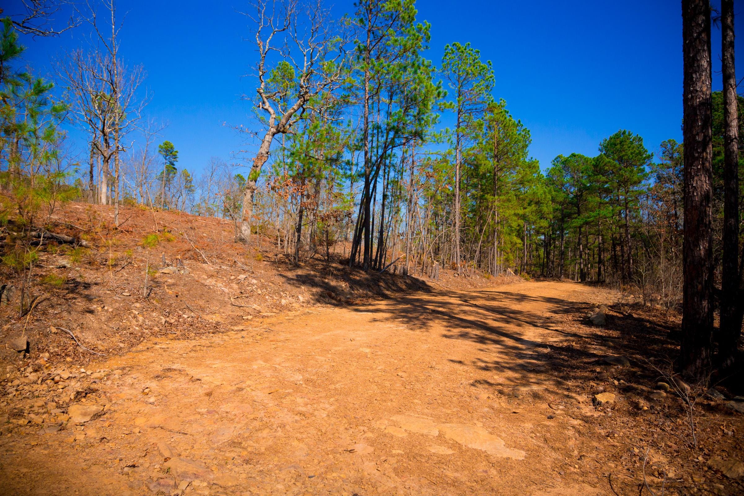 Stone Creek Phase II Tract 118 photo 11