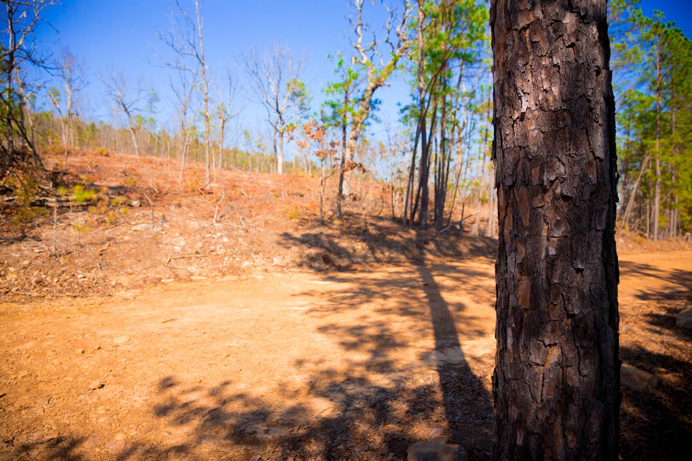 Stone Creek Phase II Tract 118 photo 12