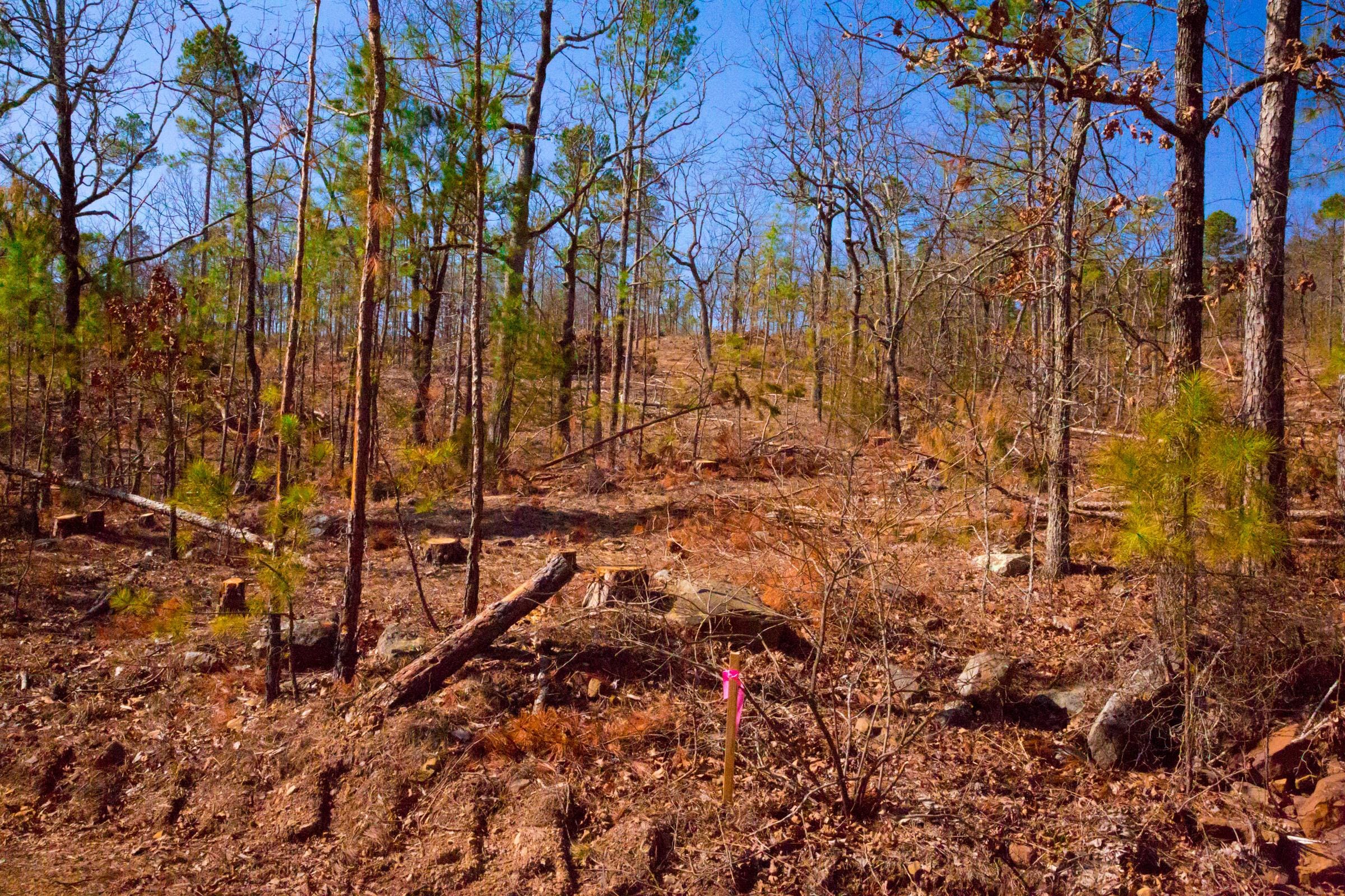 Stone Creek Phase II Tract 118 photo 13