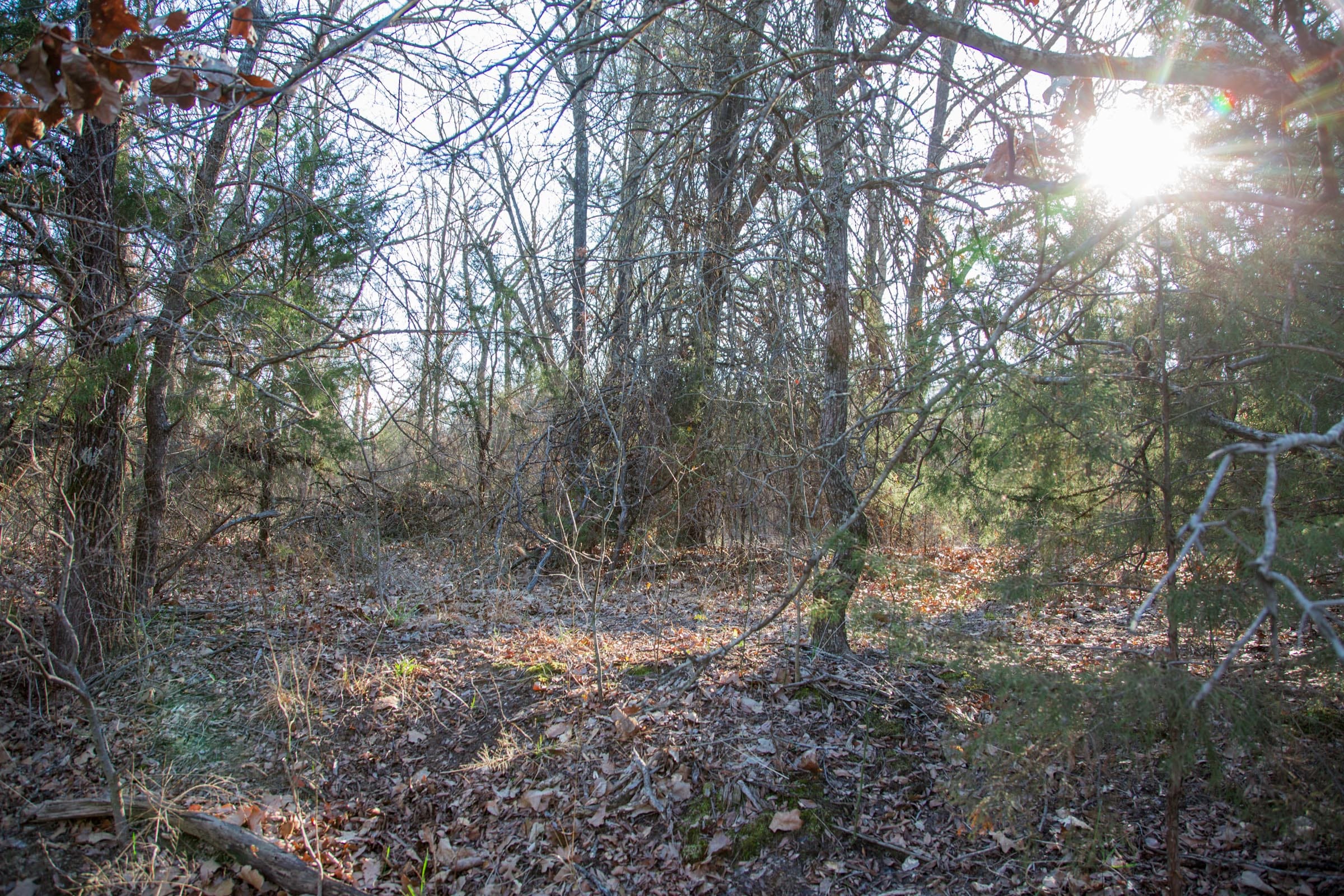 Eufaula Cove Tract 25 photo 4