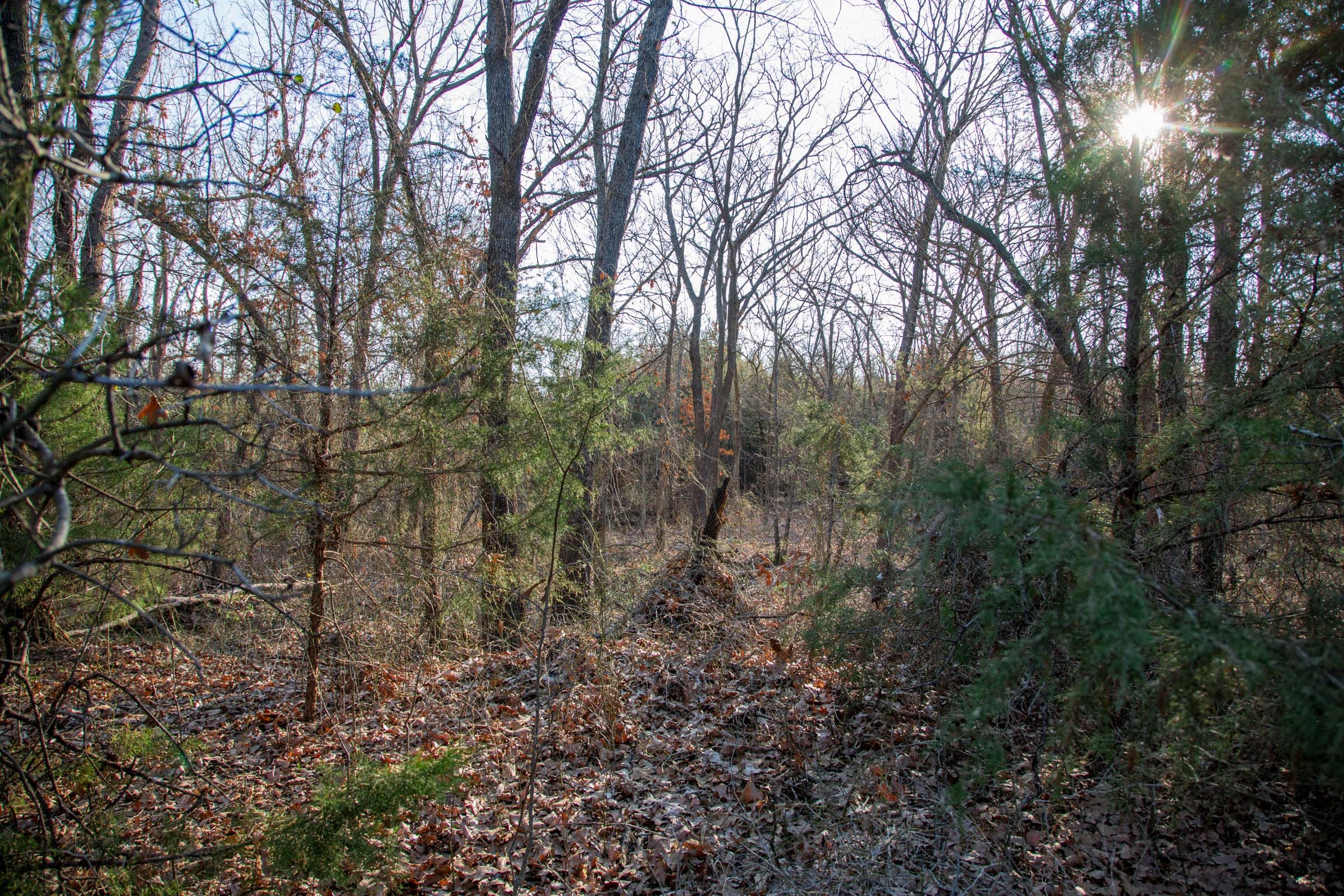 Eufaula Cove Tract 25 photo 5