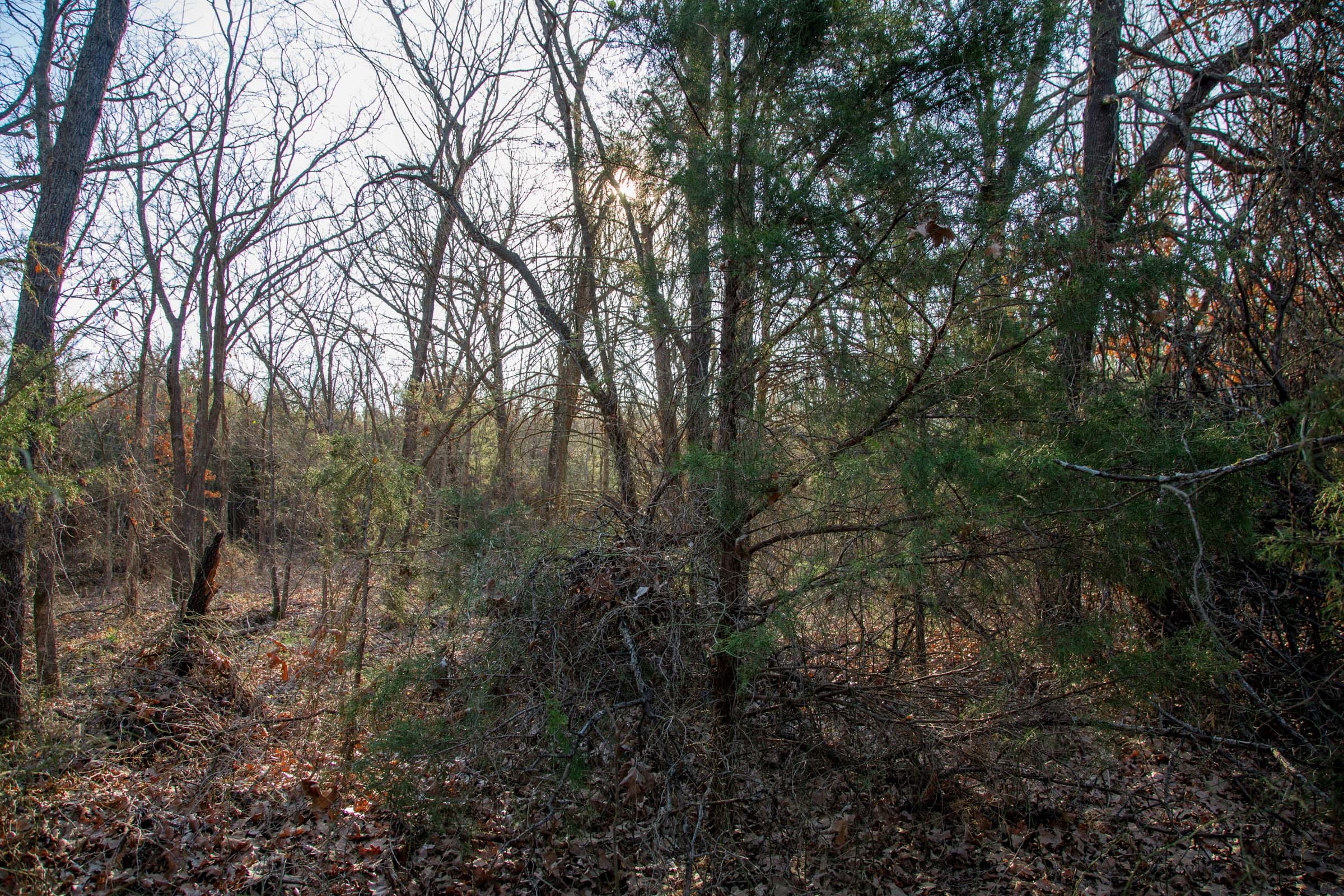 Eufaula Cove Tract 25 photo 7