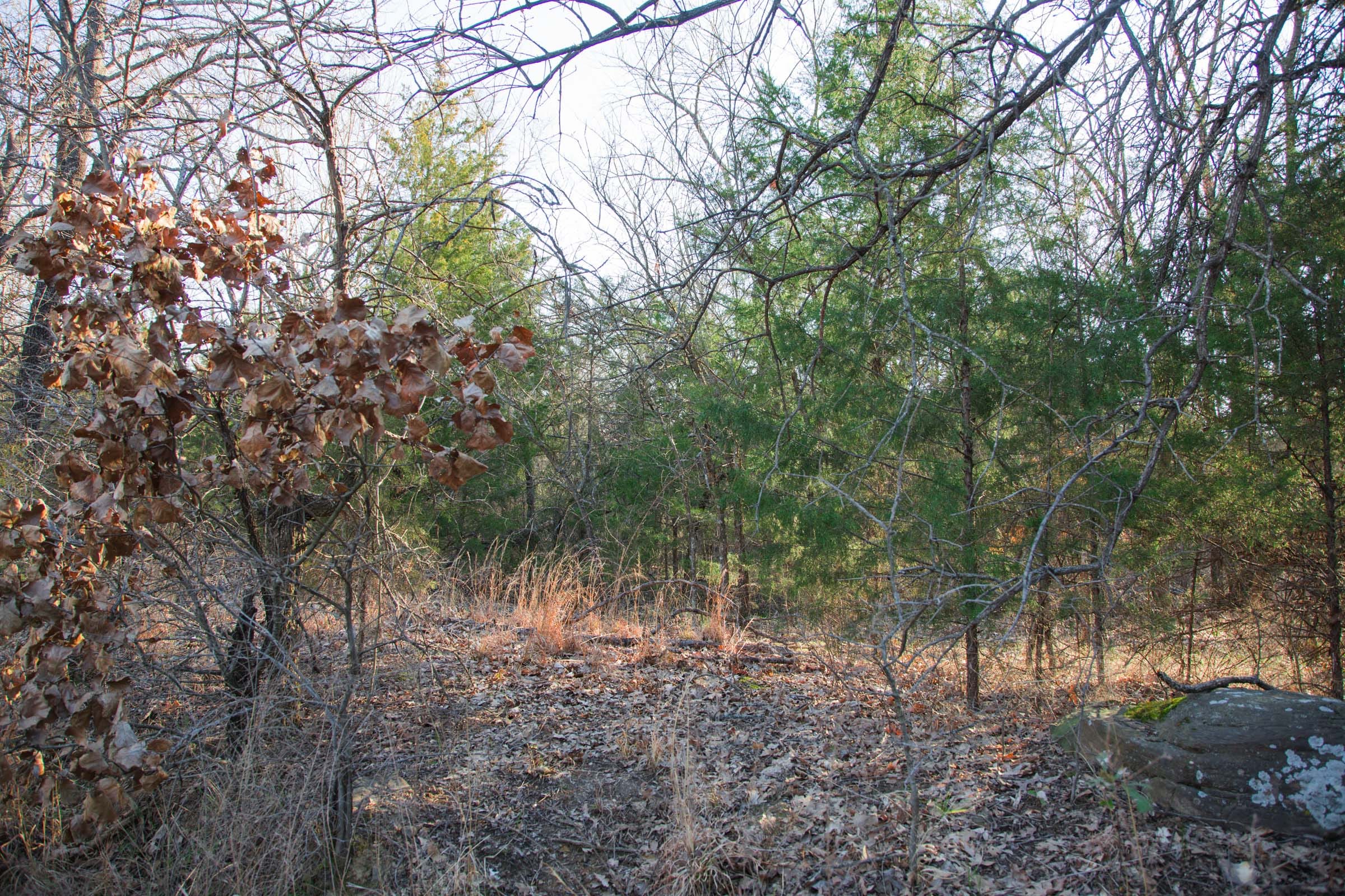 Eufaula Cove Tract 25 photo 10