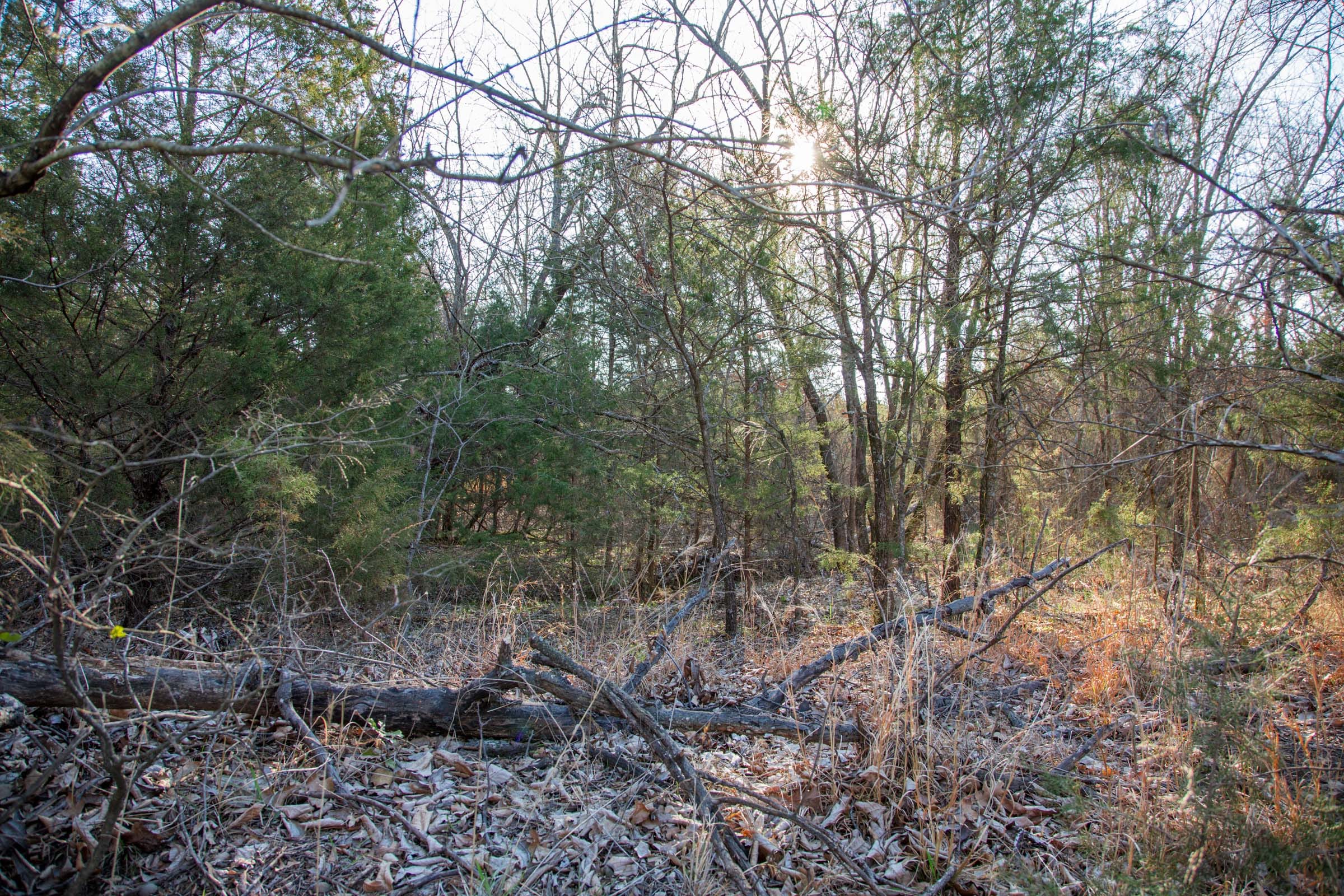 Eufaula Cove Tract 25 photo 11