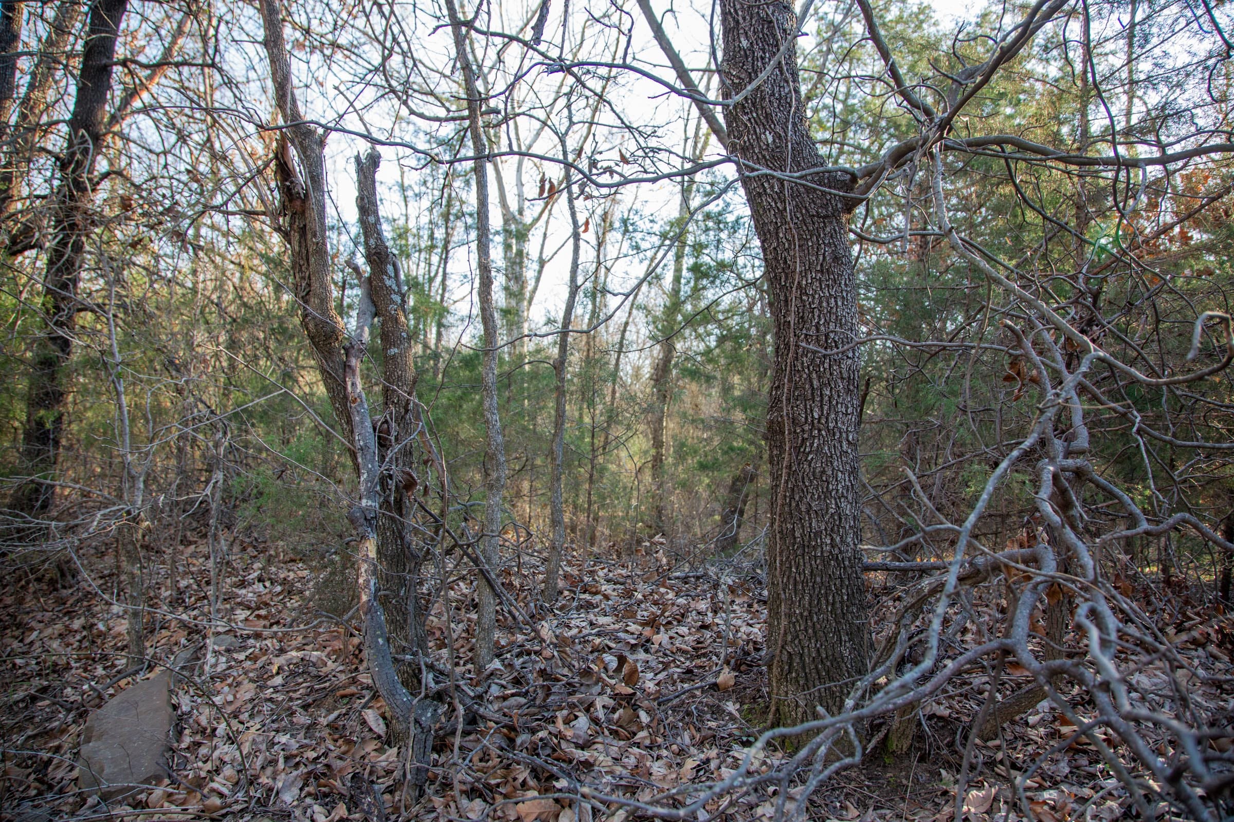 Eufaula Cove Tract 25 photo 12