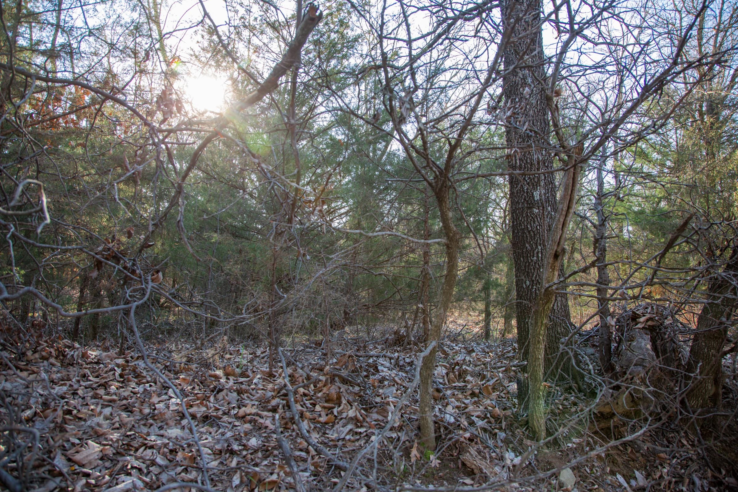 Eufaula Cove Tract 25 photo 13