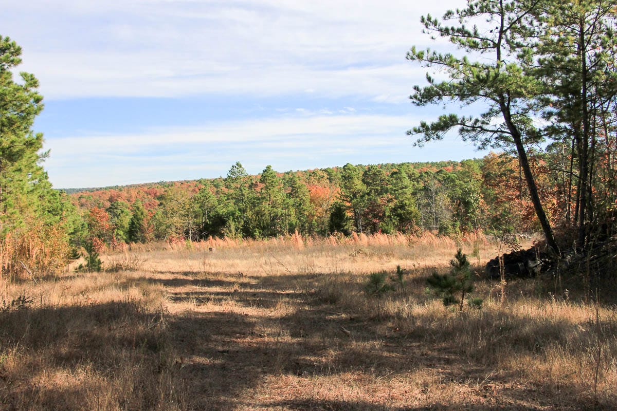 Stone Creek Phase III Tract 31 photo 1
