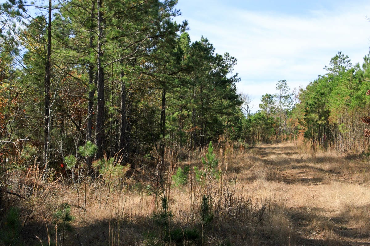 Stone Creek Phase III Tract 31 photo 3