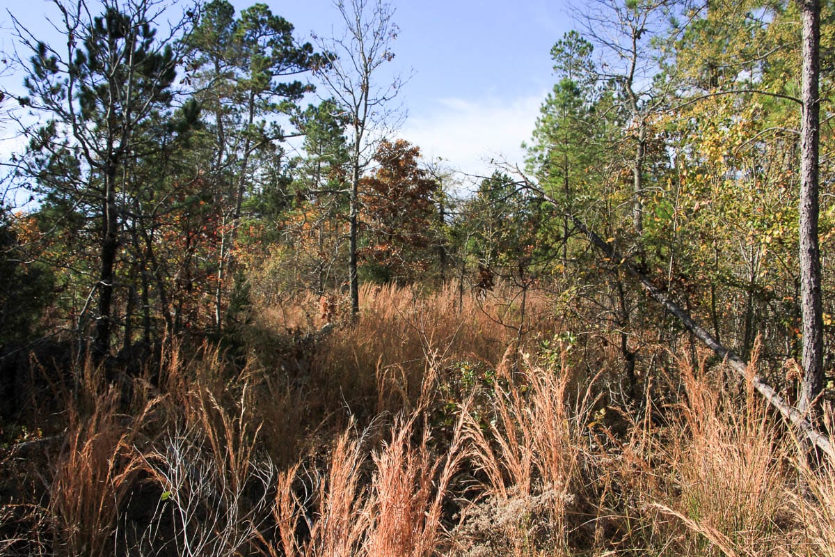Stone Creek Phase III Tract 31 photo 5