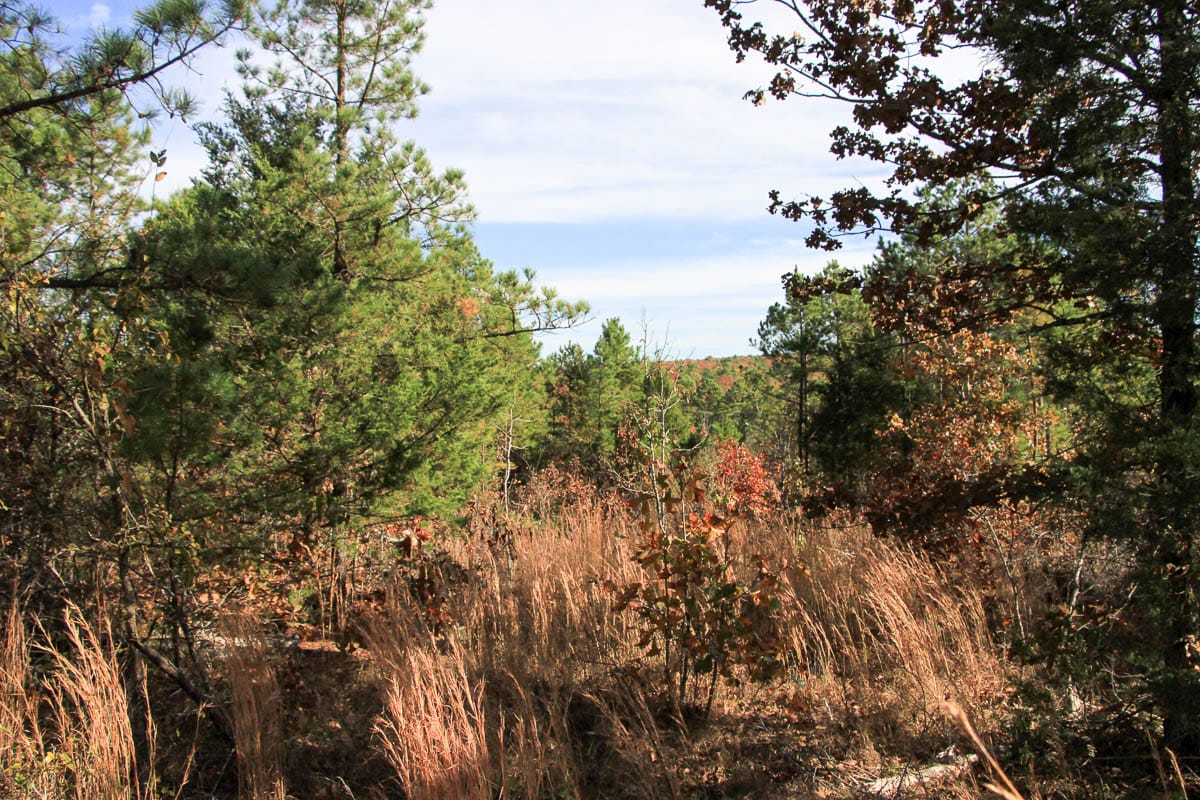 Stone Creek Phase III Tract 31 photo 6