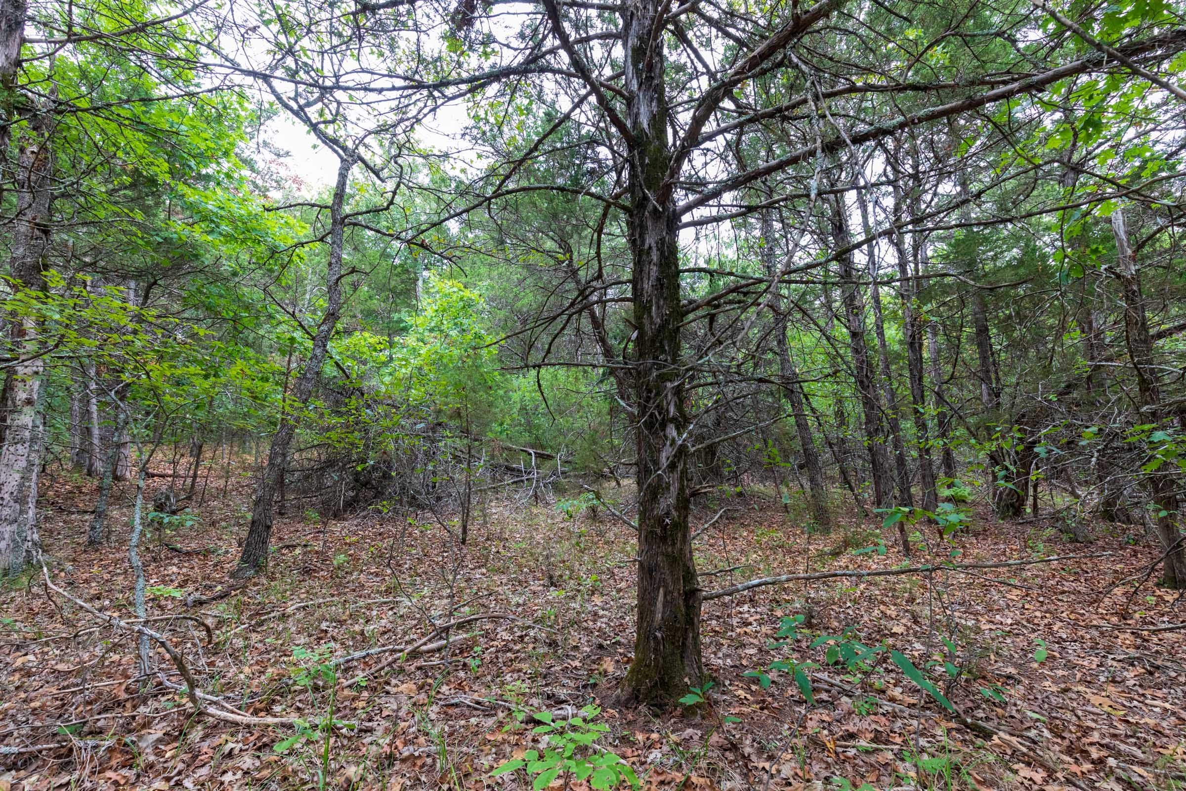 Heritage Bend Tract 38 photo 20