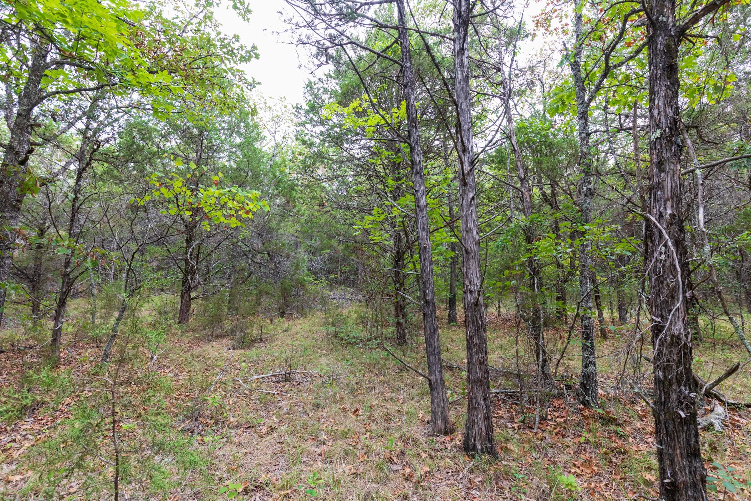 Heritage Bend Tract 38 photo 4
