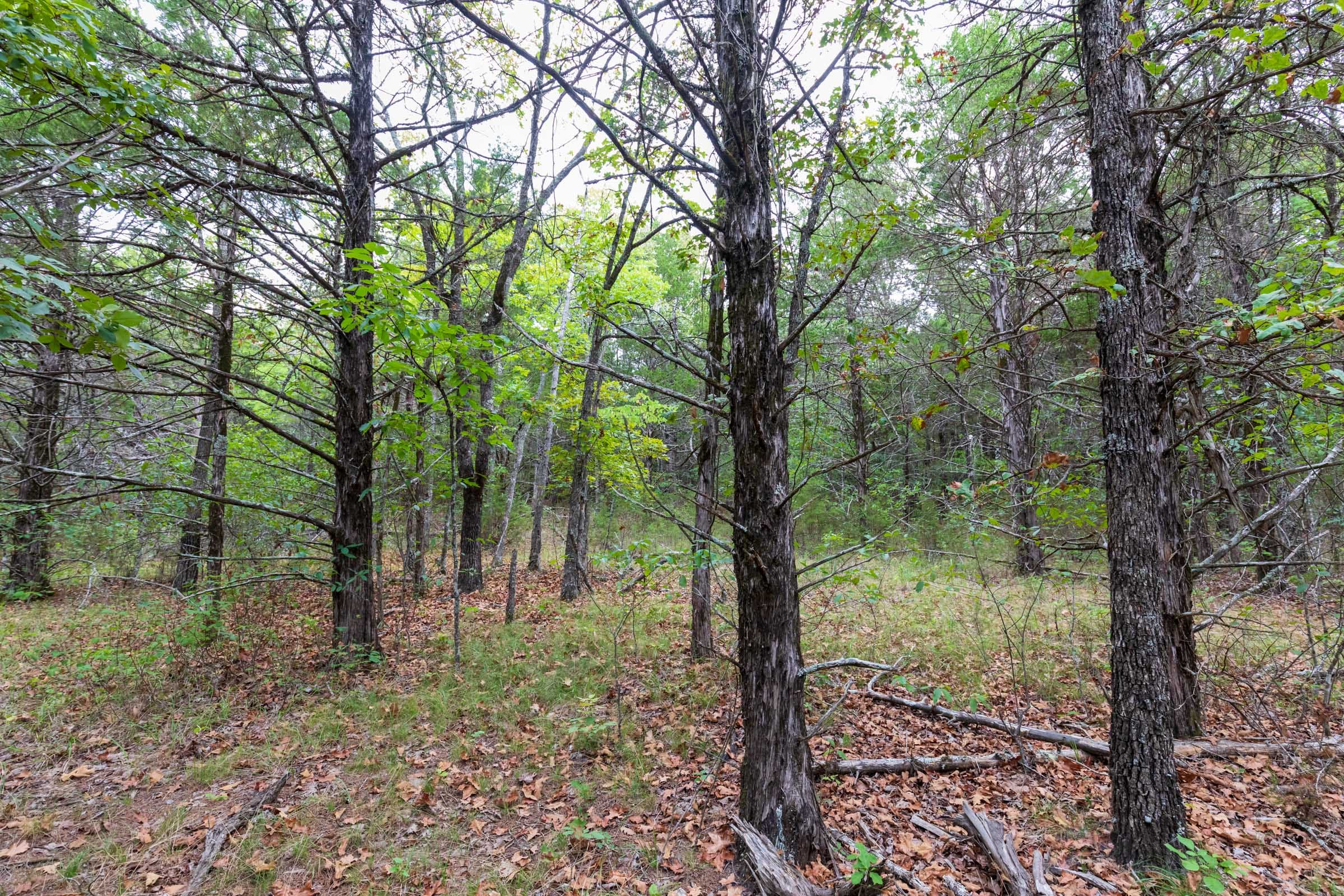 Heritage Bend Tract 38 photo 5