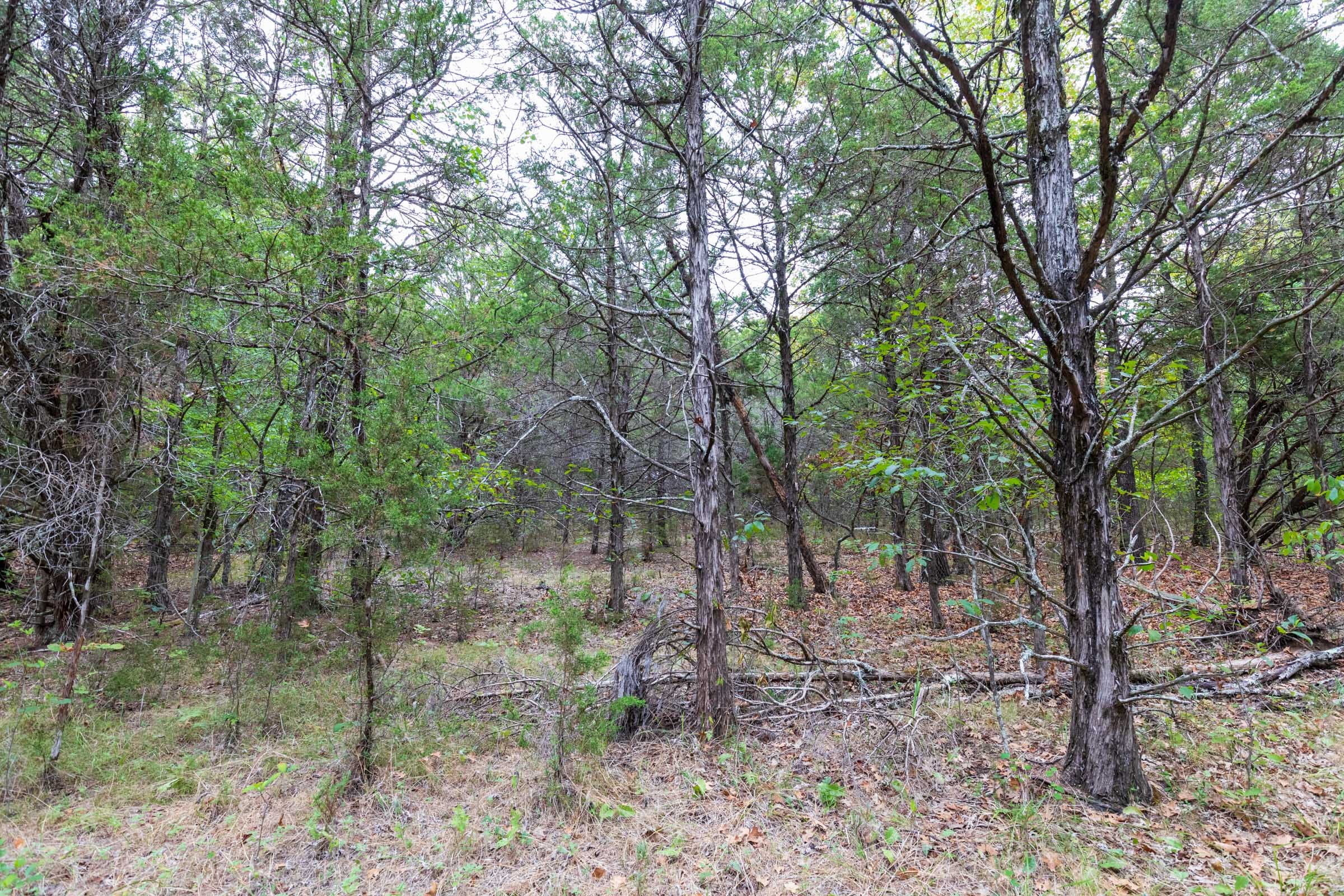 Heritage Bend Tract 38 photo 7
