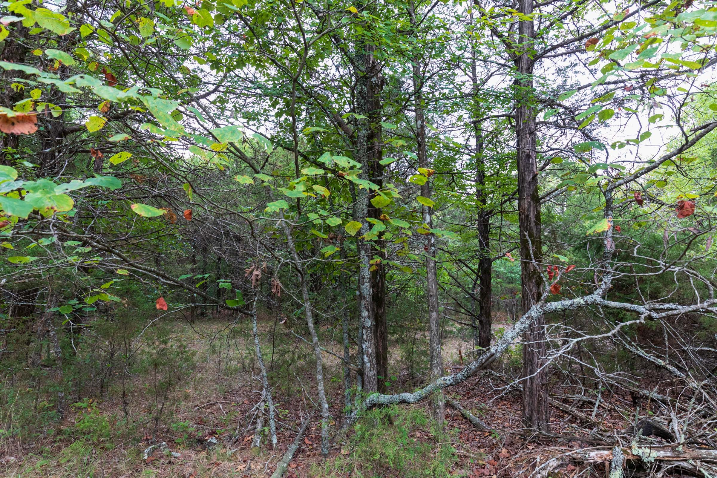 Heritage Bend Tract 38 photo 9